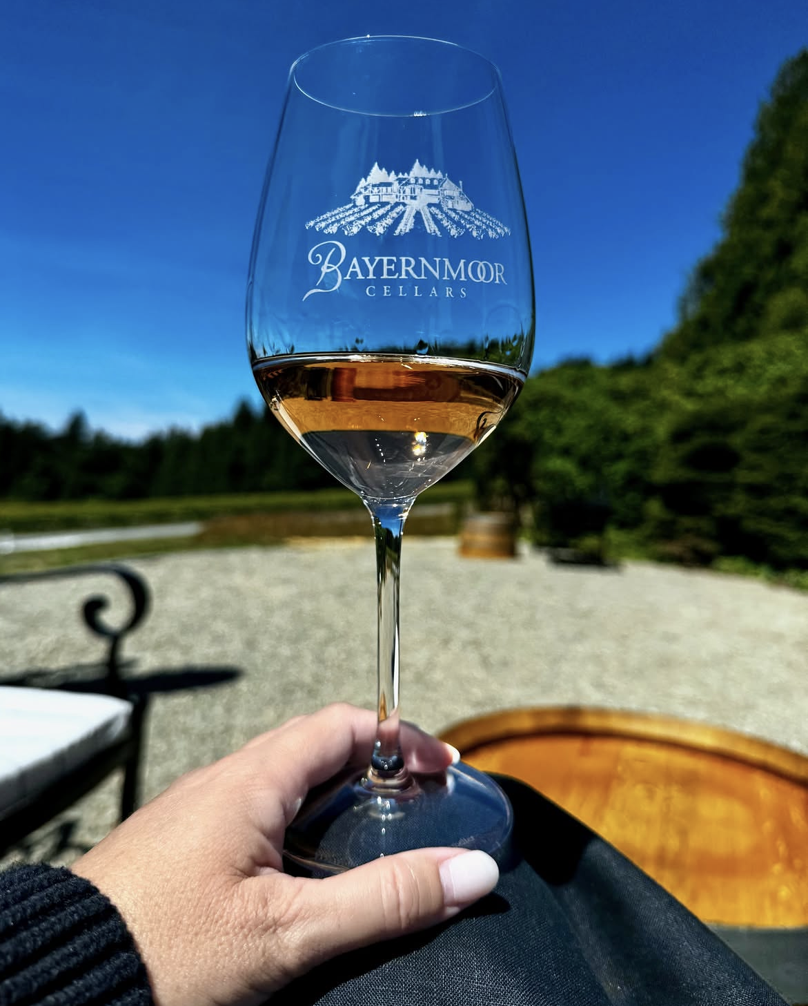 Bayernmoor Cellars Tasting