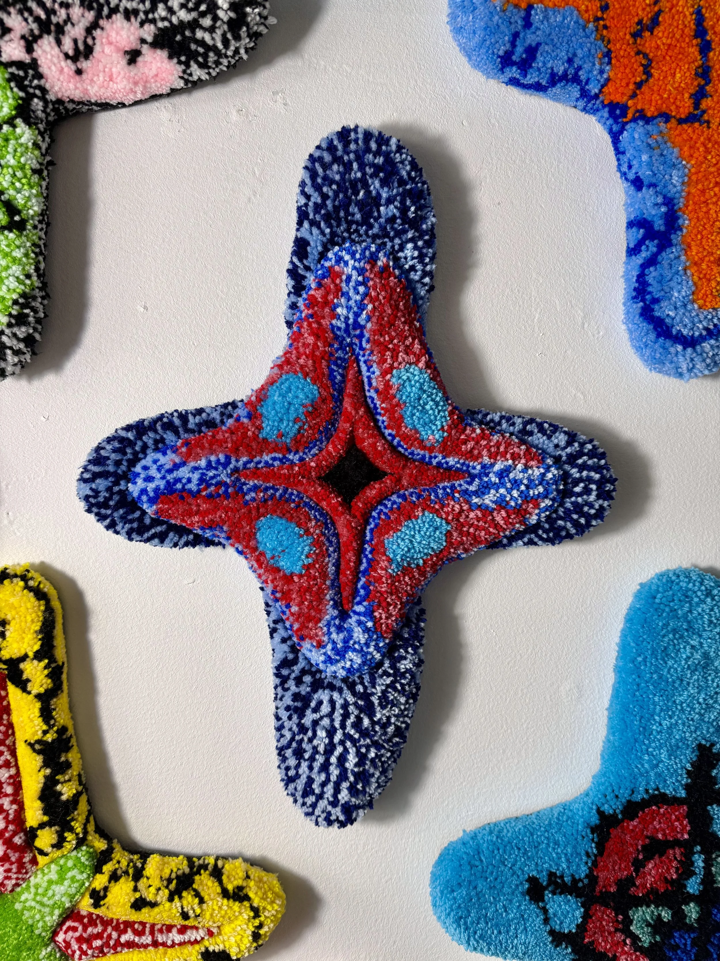 Scattered Star 6/100