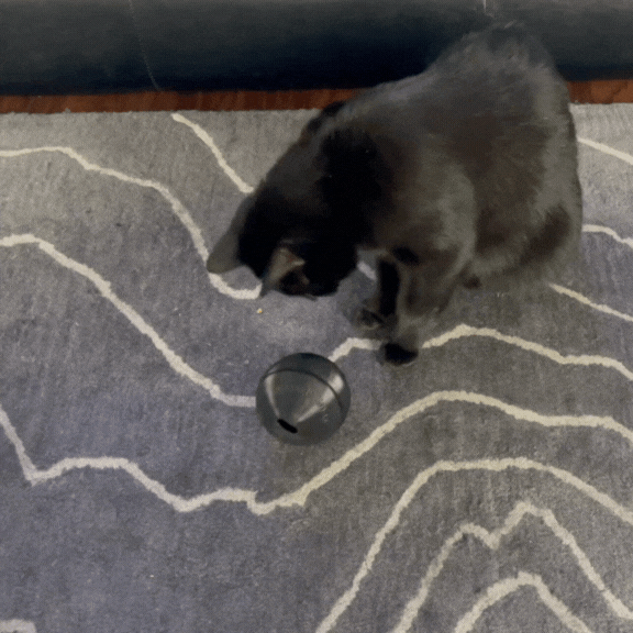 AirBall Snax