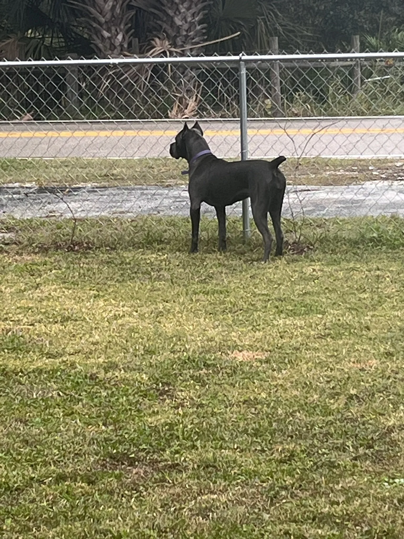 A long history of protection