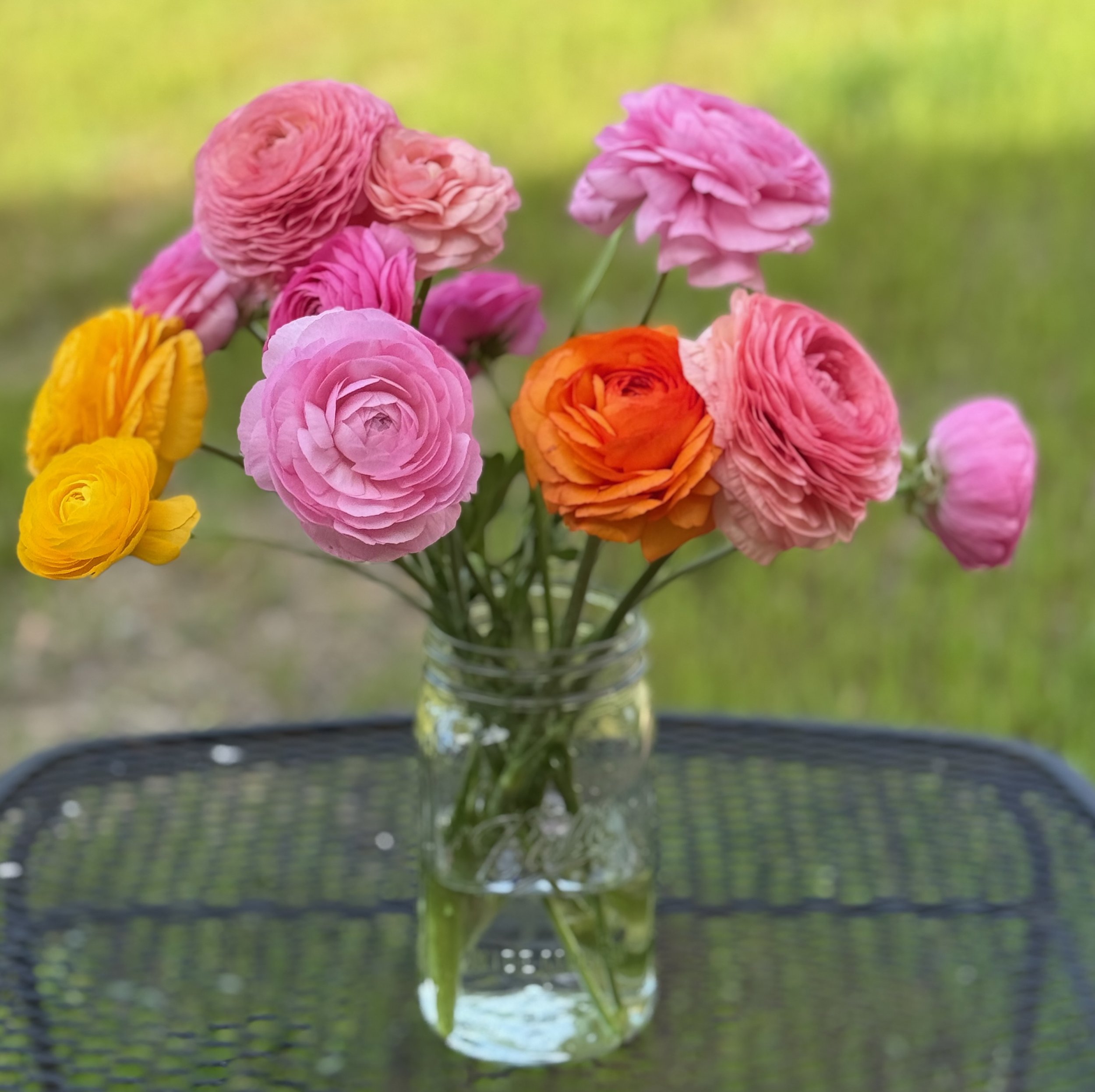 Ranunculus Bouquet Pre-order