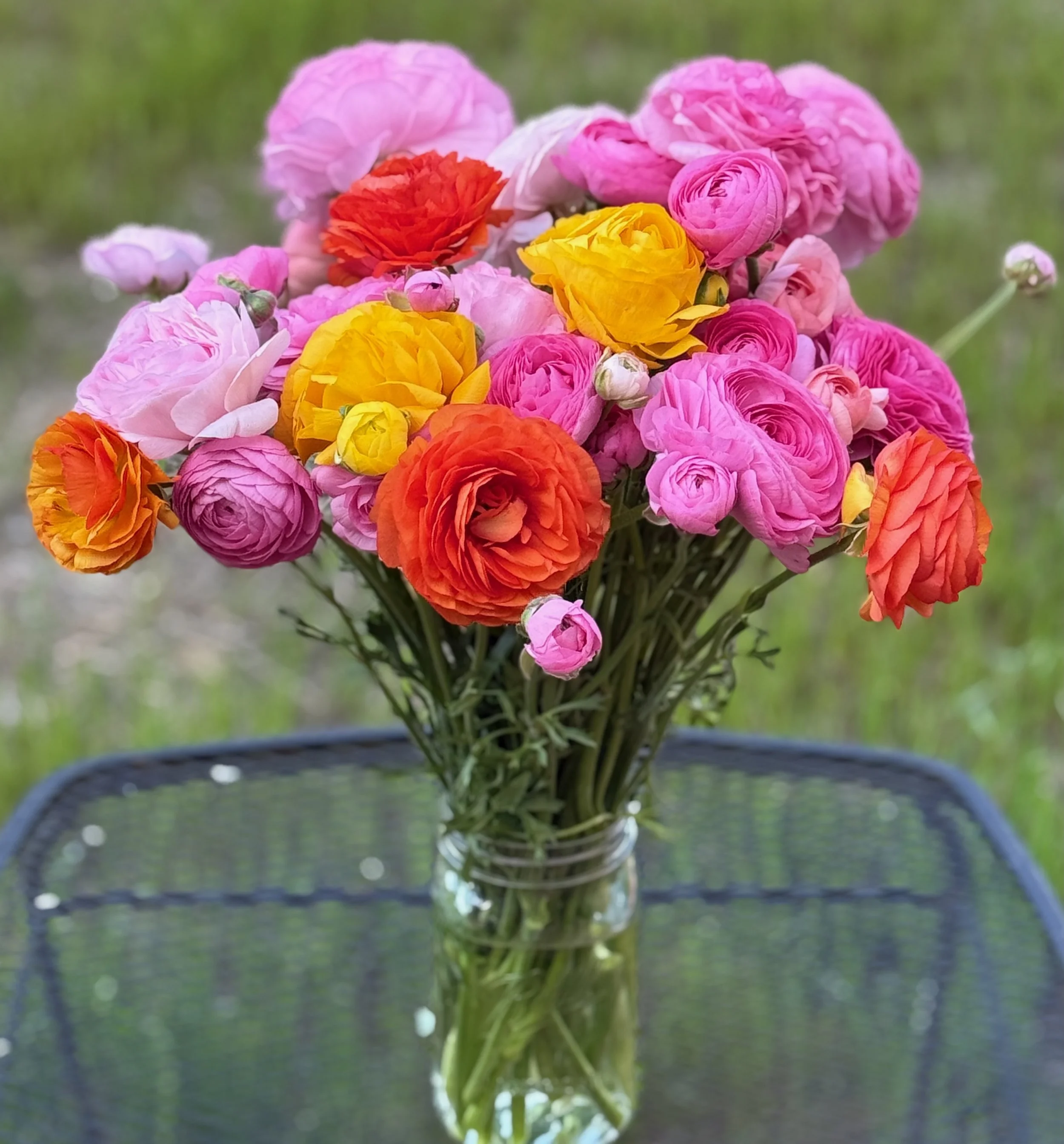 Deluxe Ranunculus Bouquet Pre-order (Limited Quantity)
