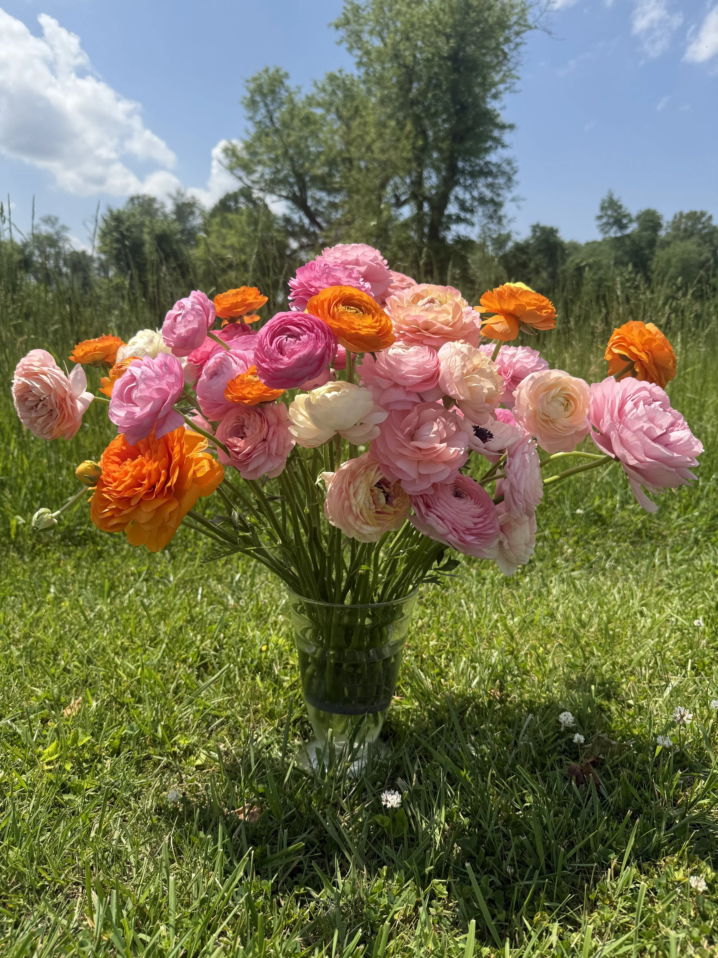 Deluxe Centerpiece Arrangement Pre-order