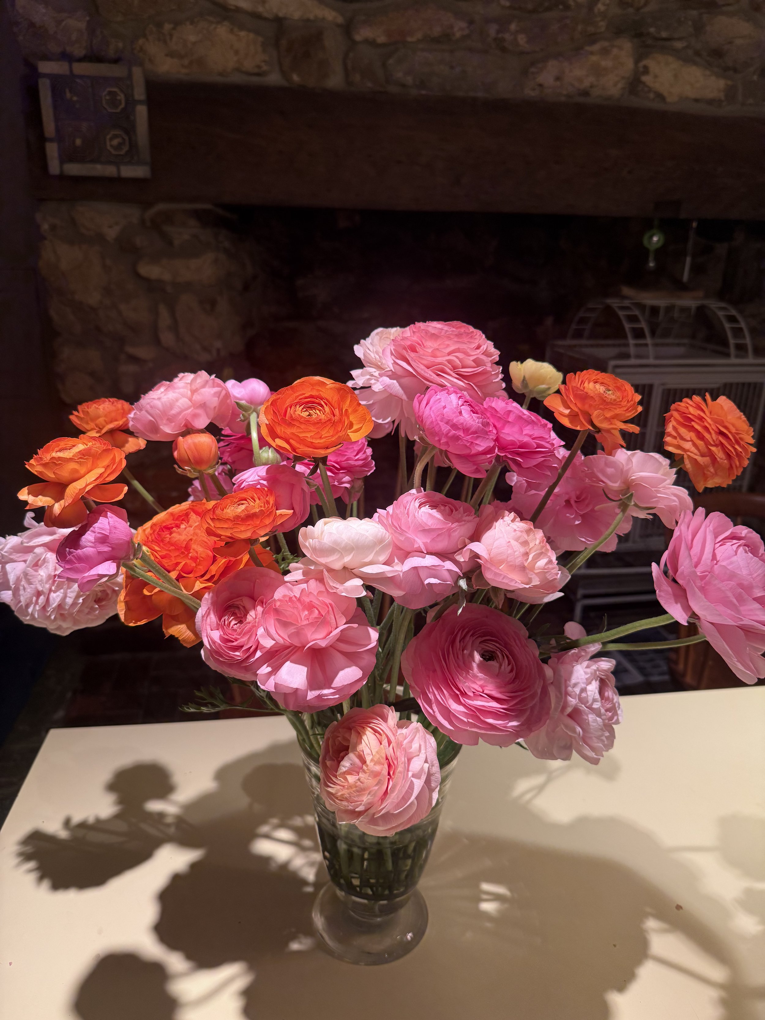 IMG_2504.jpeg