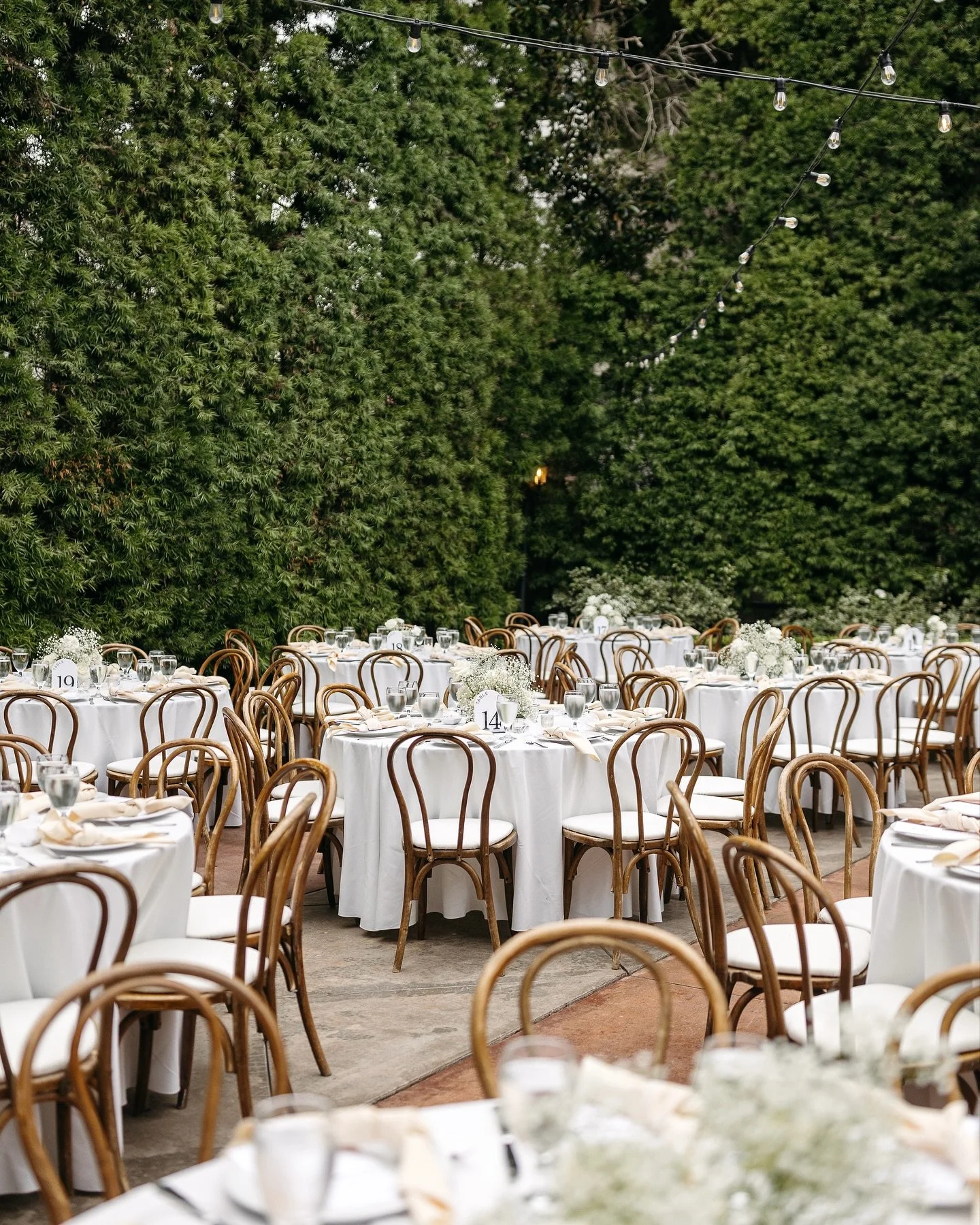 woods &amp; whites at San Juan Capistrano

Los Angeles Wedding Photographer | California Weddings