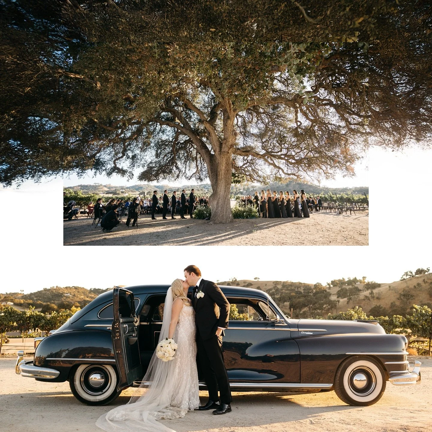 At the risk of being creatively cringe, yea I&rsquo;m posting this. felt cute, might delete later. Love a good Oak Tree + vintage Chrysler moment.

A + J | Paso Robles wedding
