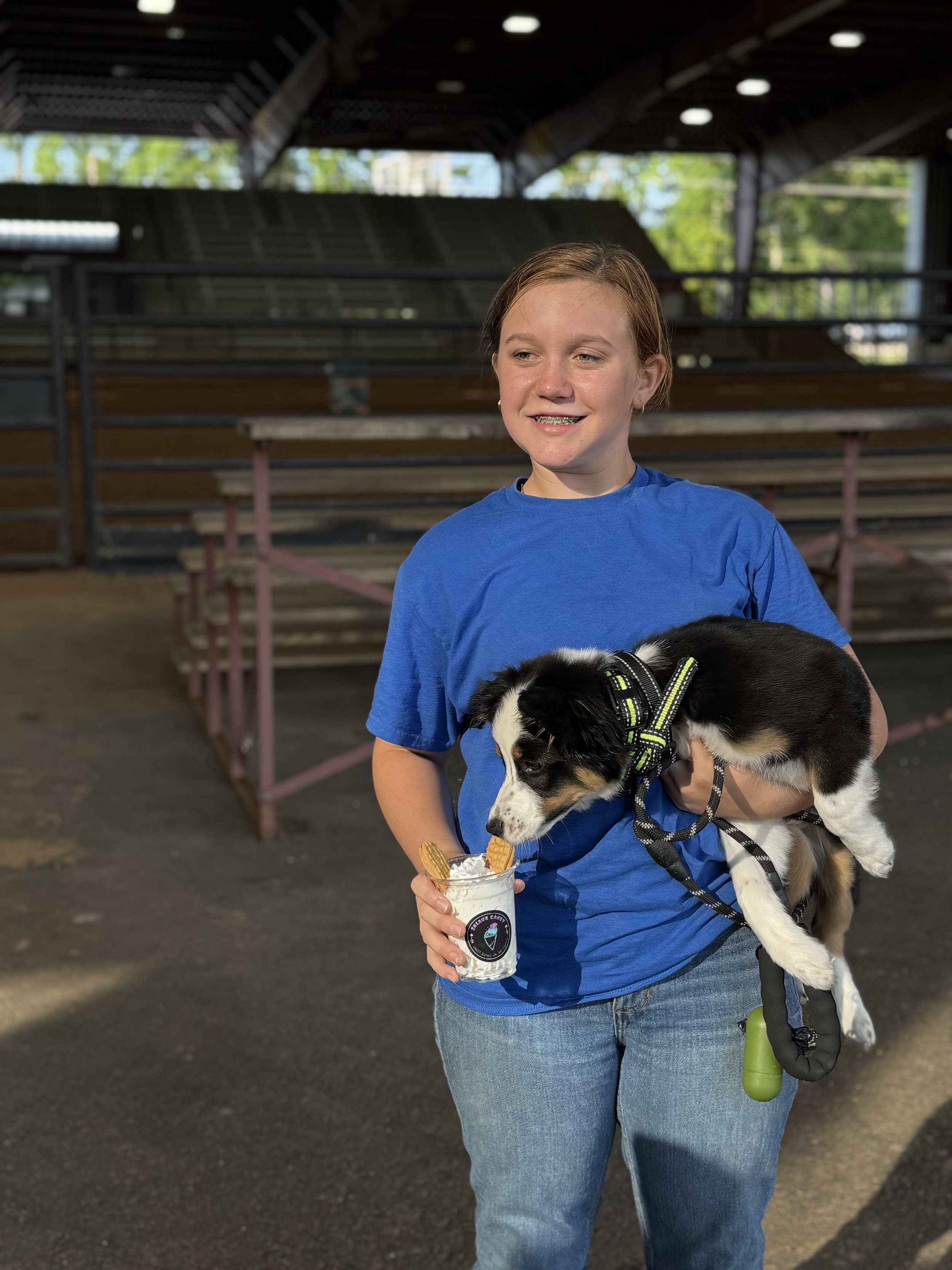 A girl in a blue shirt holding a black and white puppy, licking a cup of ice cream topped with cookies, in an outdoor covered area with bleachers in the background.