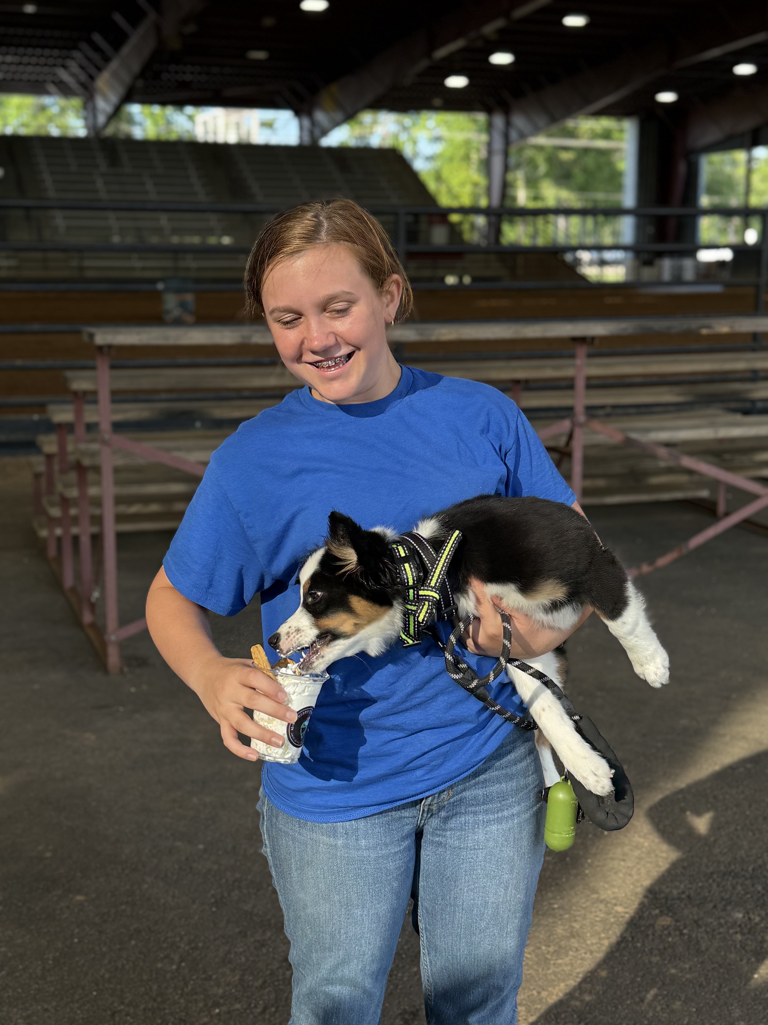 A girl in a blue shirt holding a black, white, and tan puppy while eating ice cream inside a covered sports stadium.