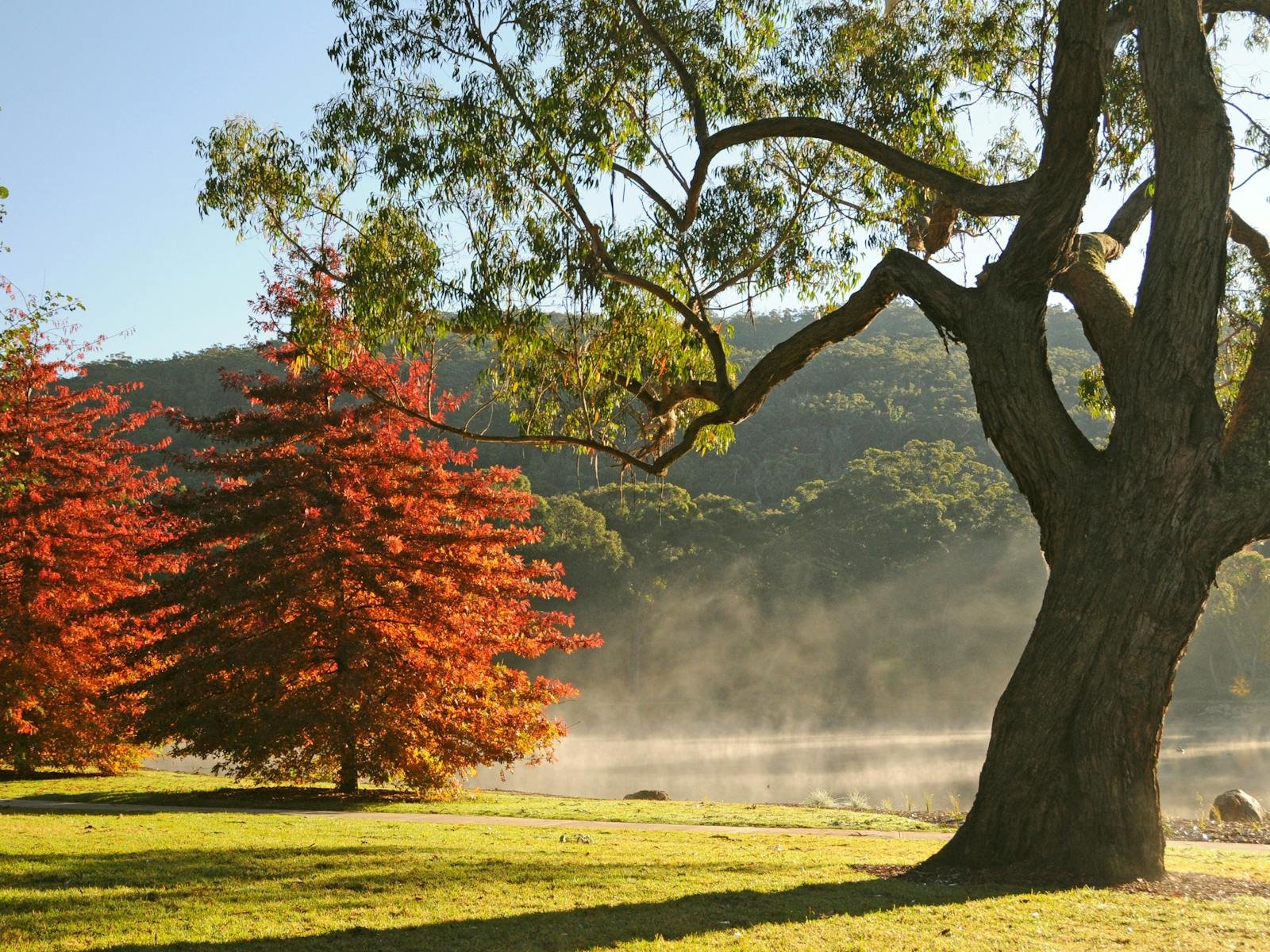 Things to Do in Mittagong