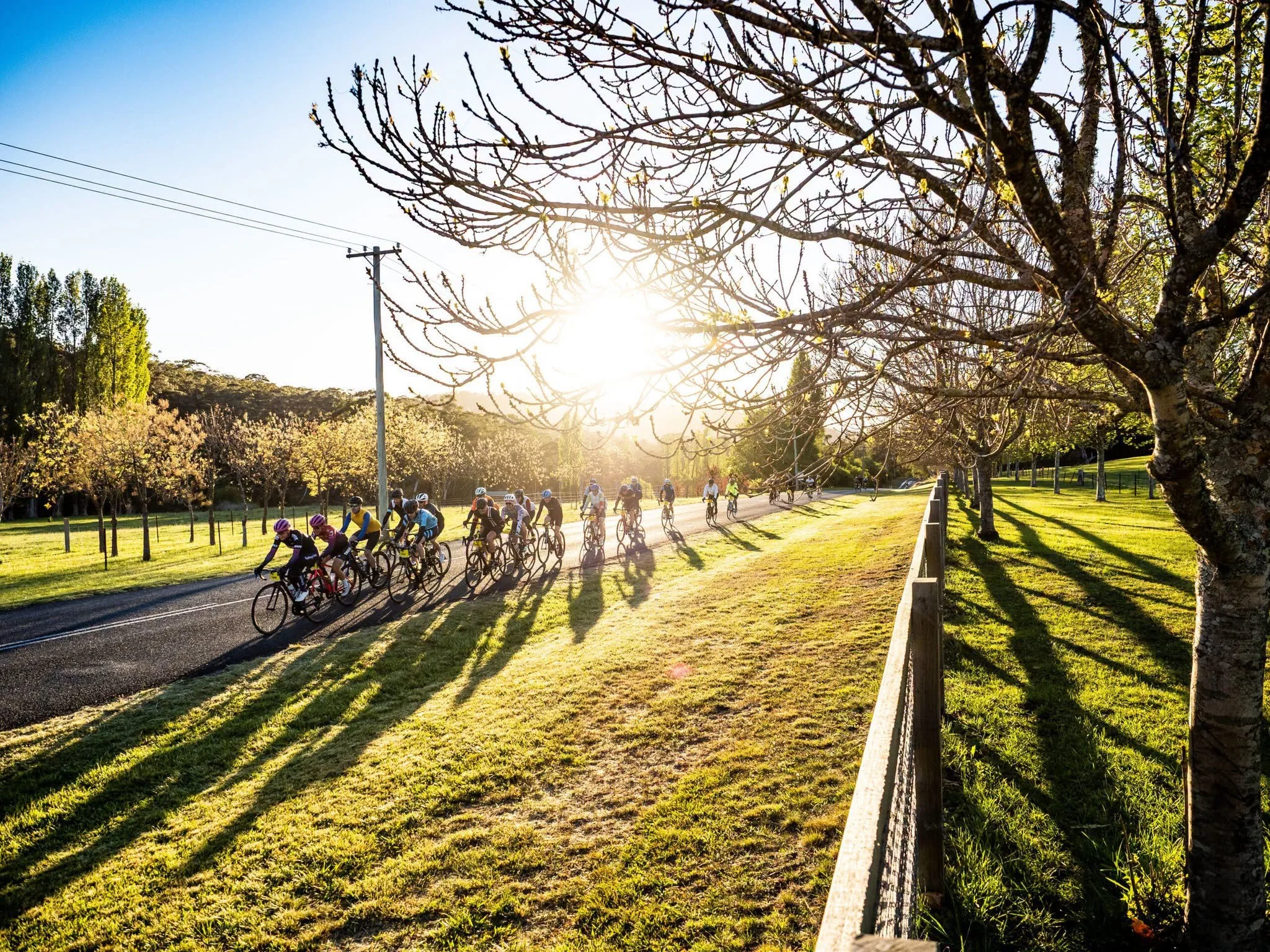 Southern Highlands Annual Events