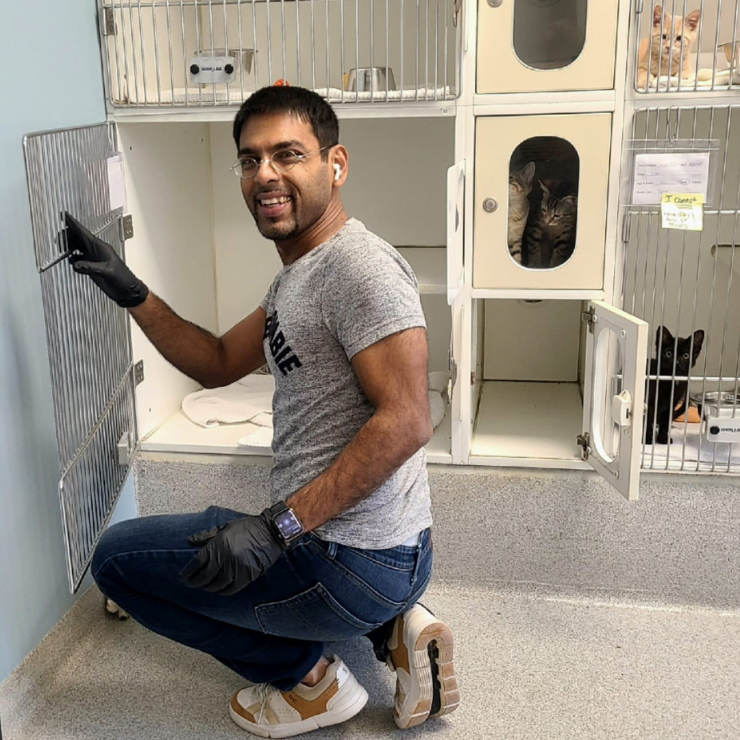 Animal shelter volunteering near me