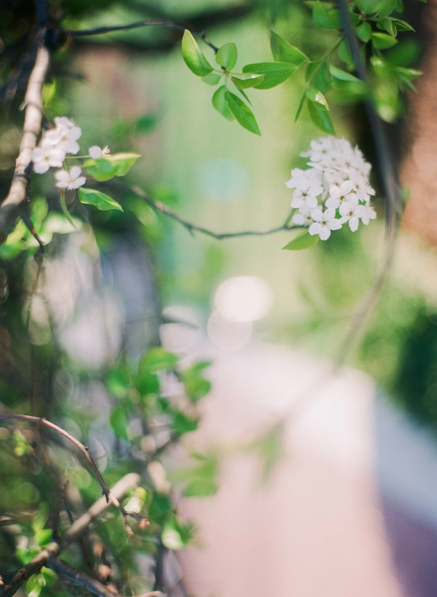 Encouragement for Moms on the Worn-Out Days