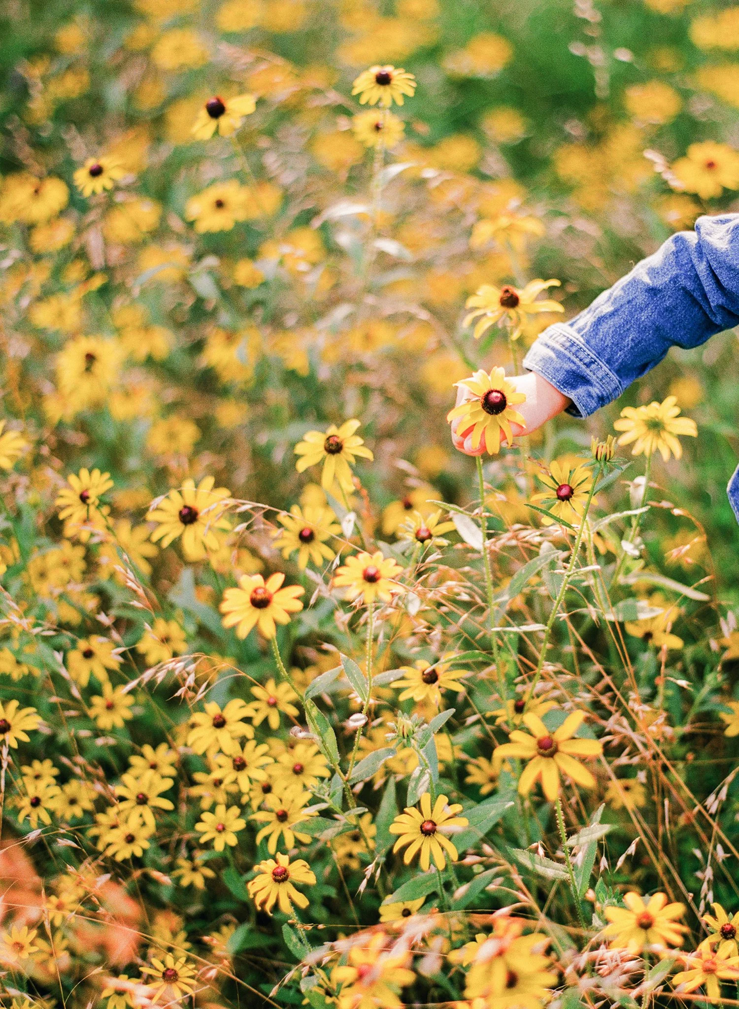 Bible Verses for Moms: 20 Reminders for the Overwhelmed Days