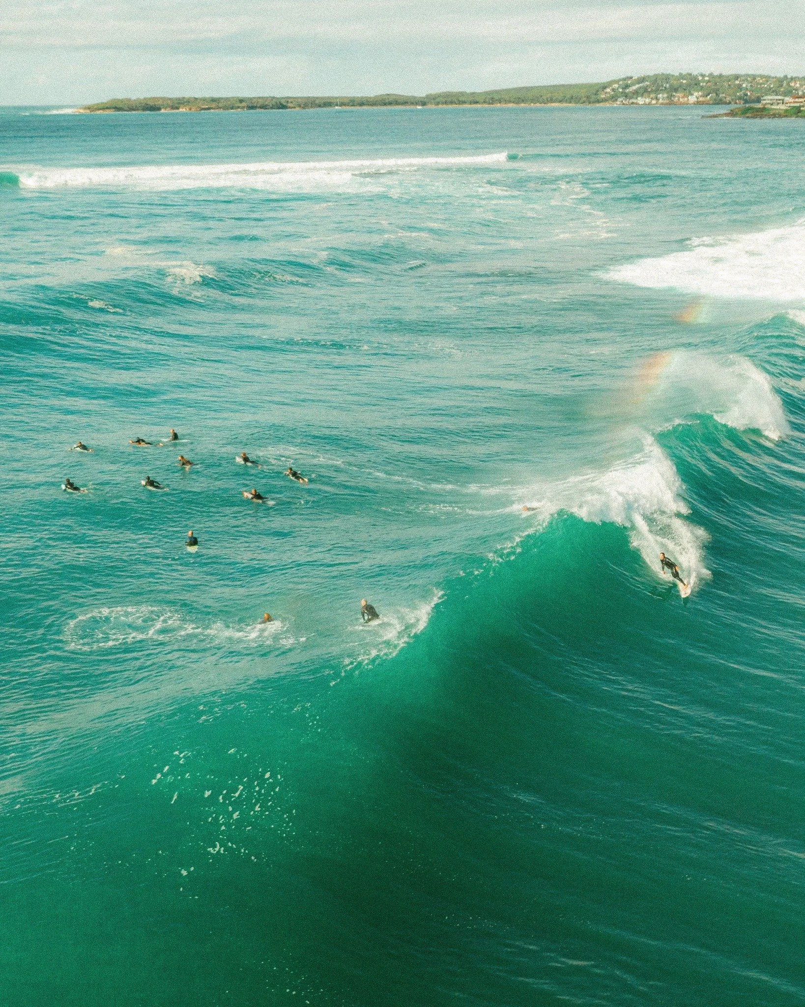 Locals having fun in our backyard 🌞