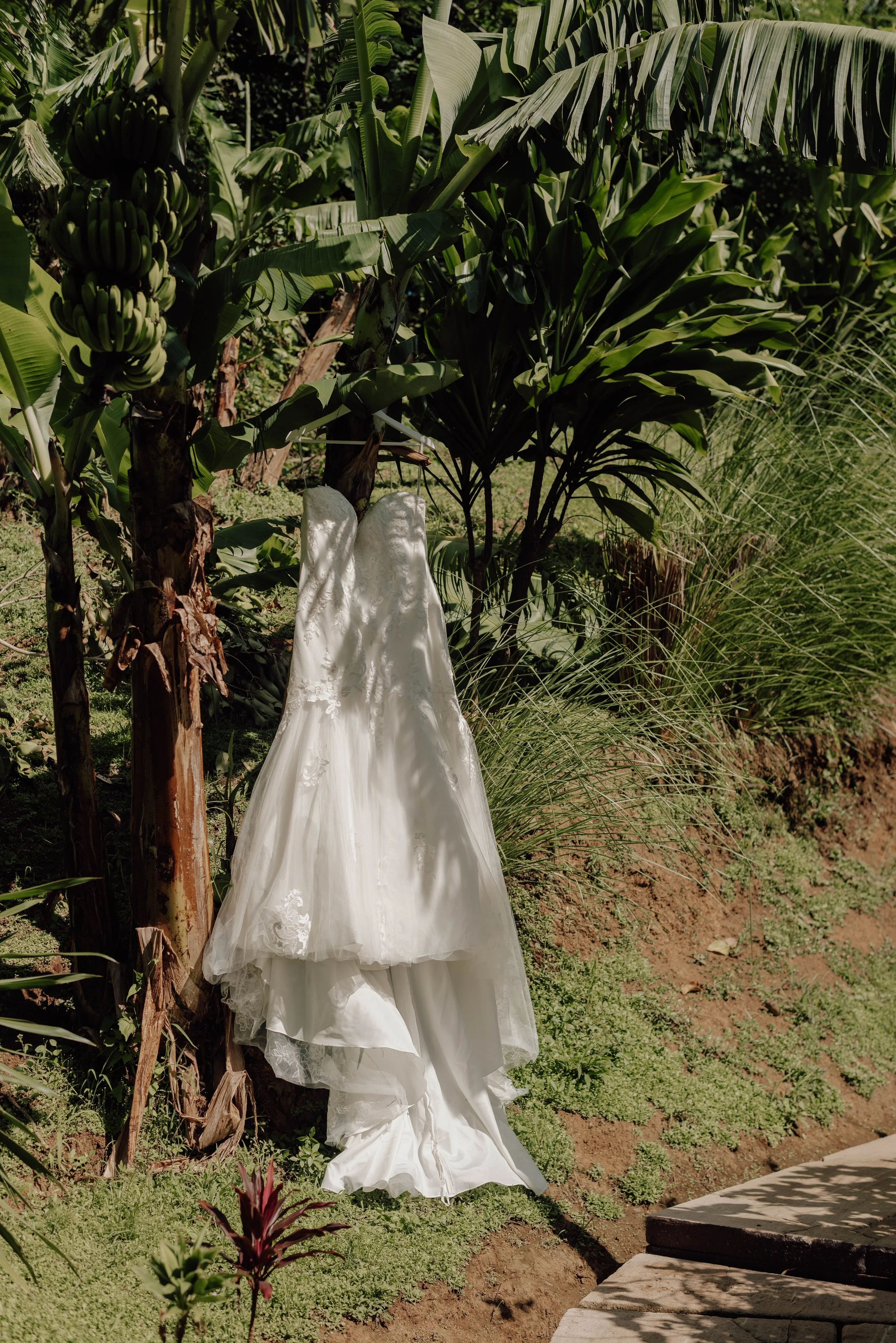 Antonia & Jeff's Modern Island Wedding, Tamarind House, Rarotonga Cook ...