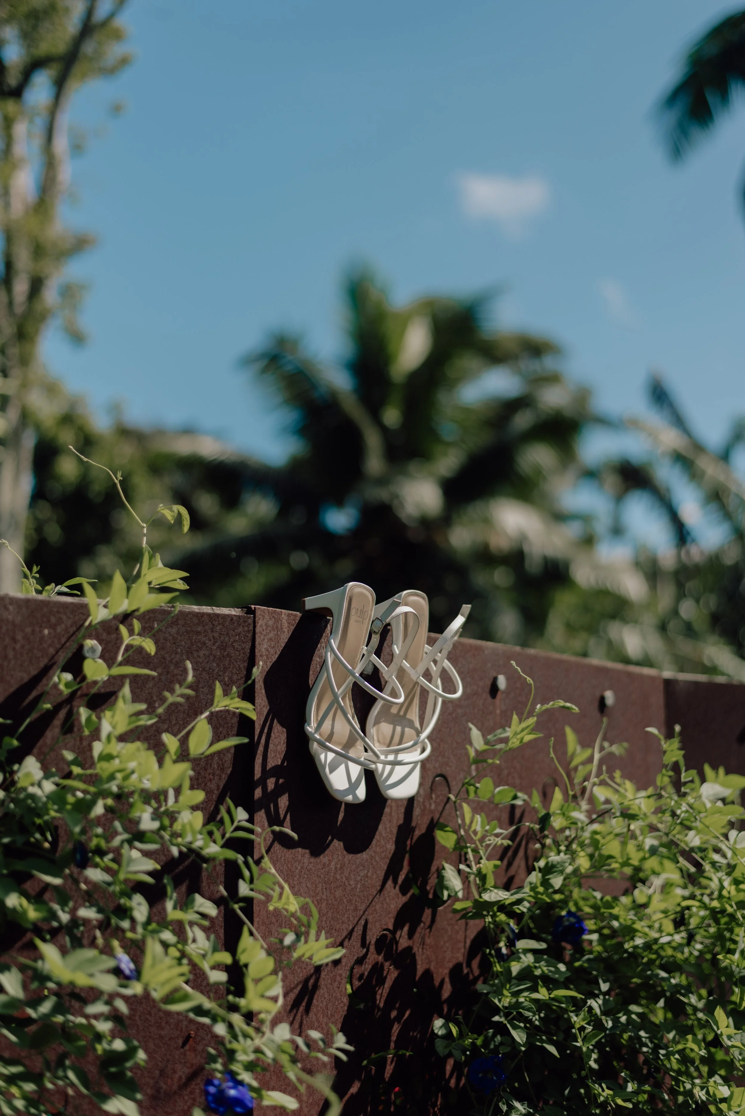 Antonia & Jeff's Modern Island Wedding, Tamarind House, Rarotonga Cook ...