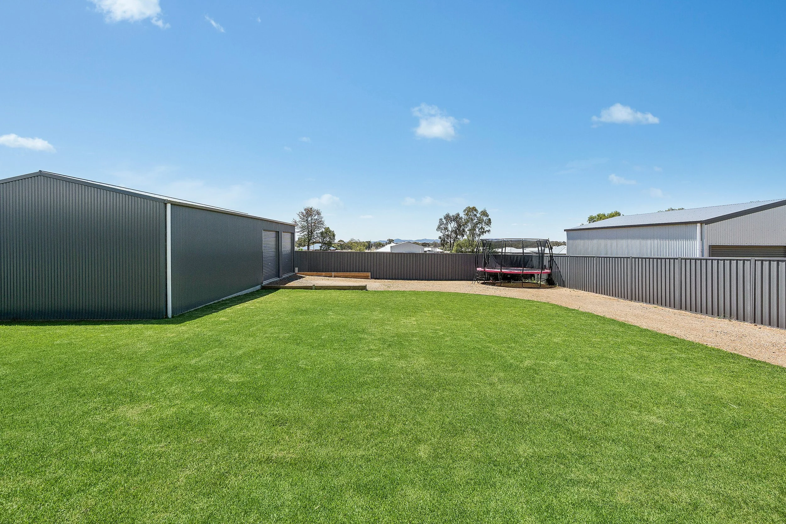 Kitchener Rd backyard 1