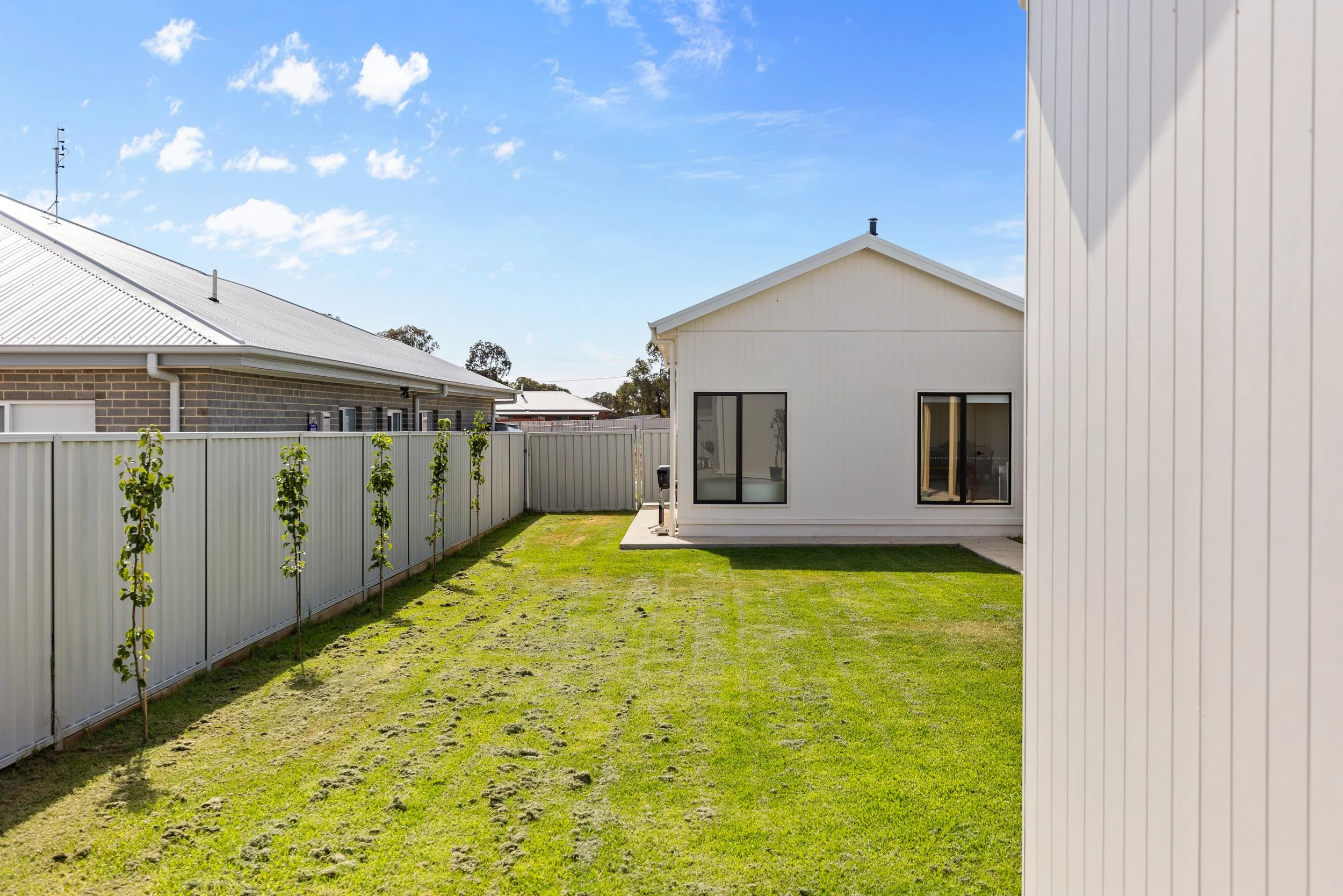 Backyard with green lawn, small trees along a white fence, white house with sliding doors, on a sunny day with blue sky and some clouds.