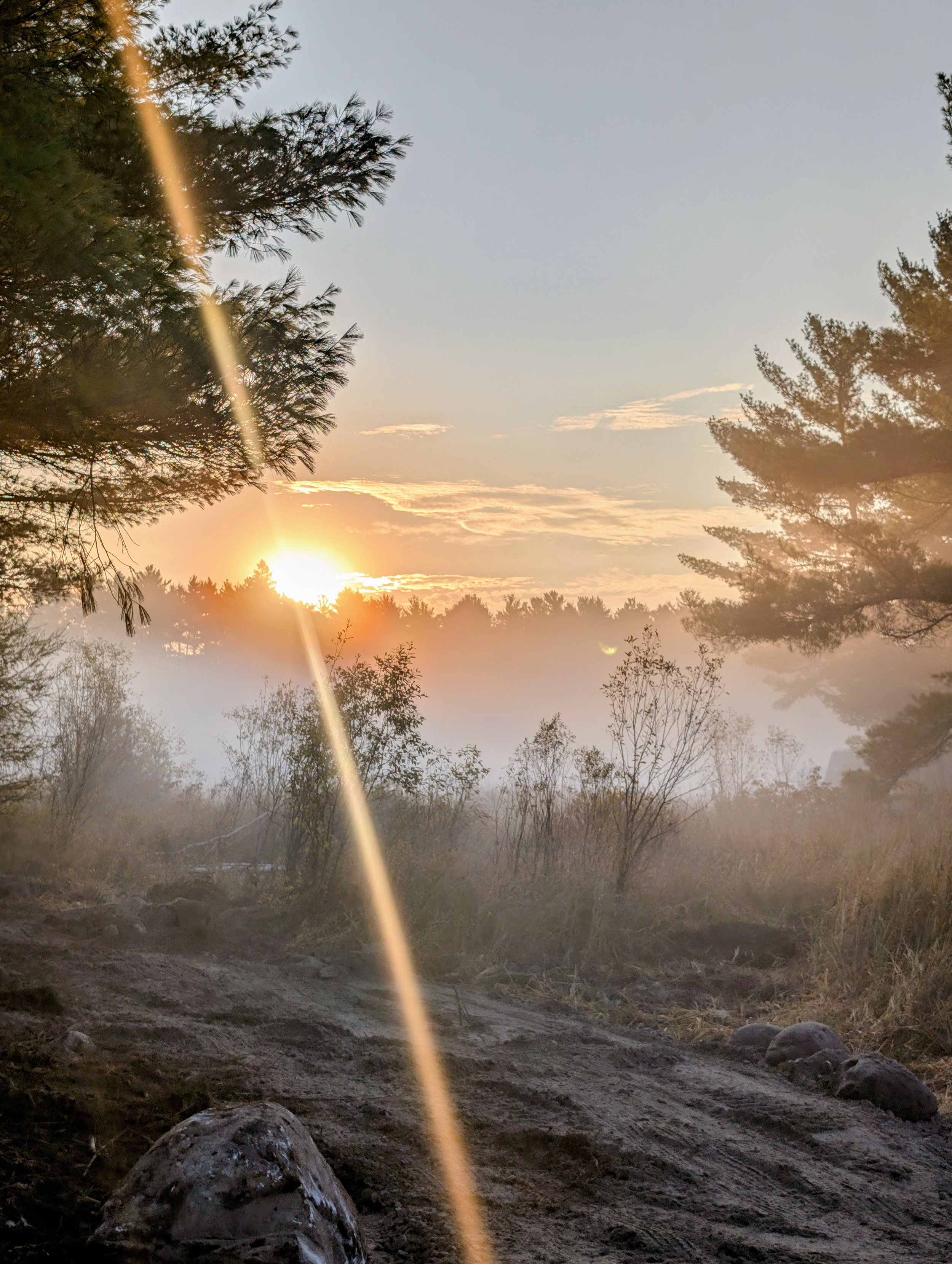 Sunrise over a dirt trail in a forest with trees and mist.
