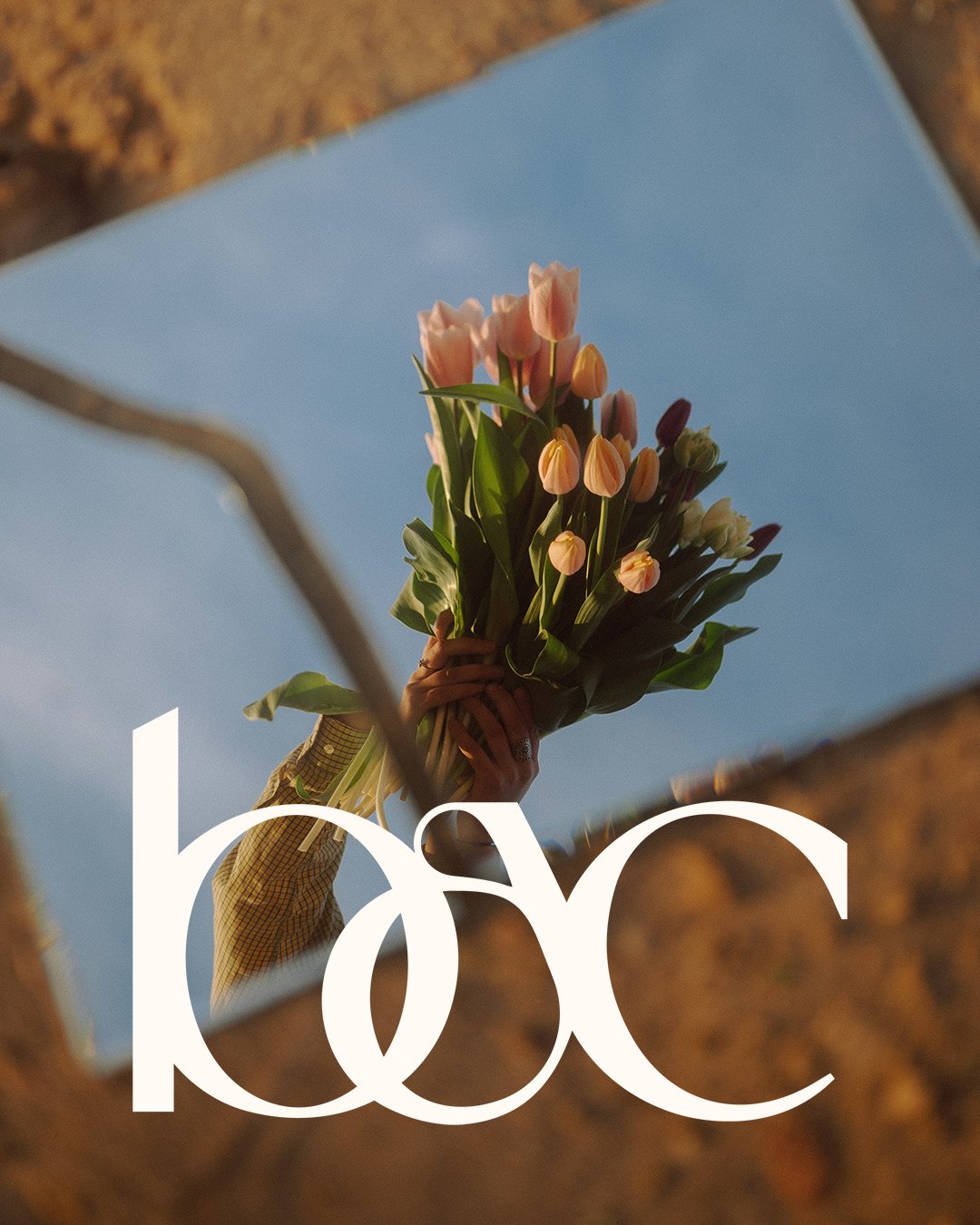 Botanical Art Club
