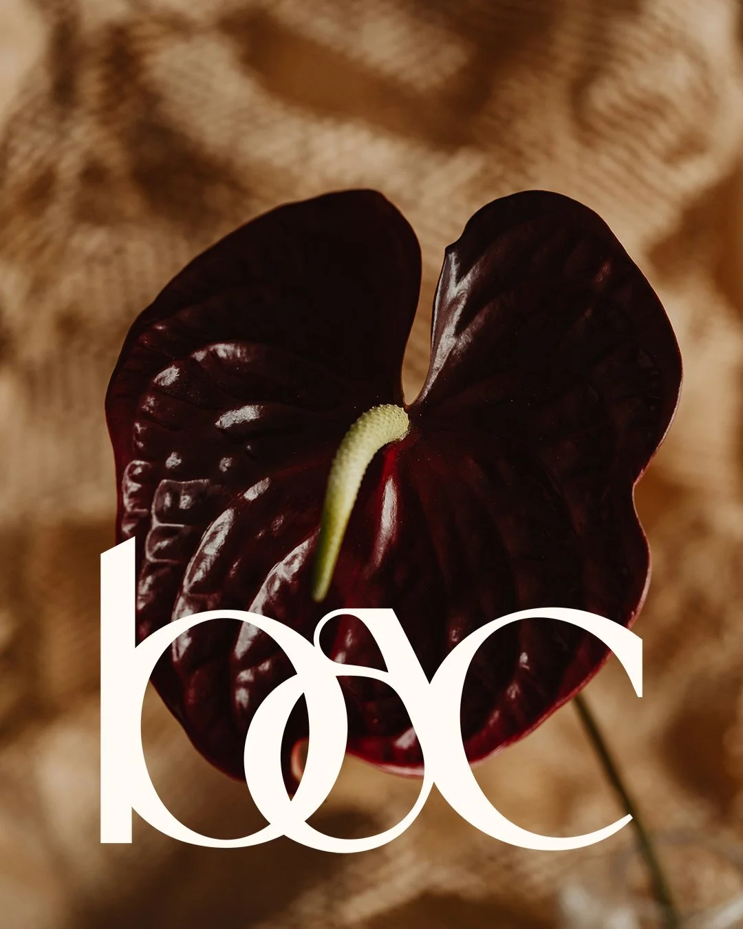BAC-Brandmark03.jpg