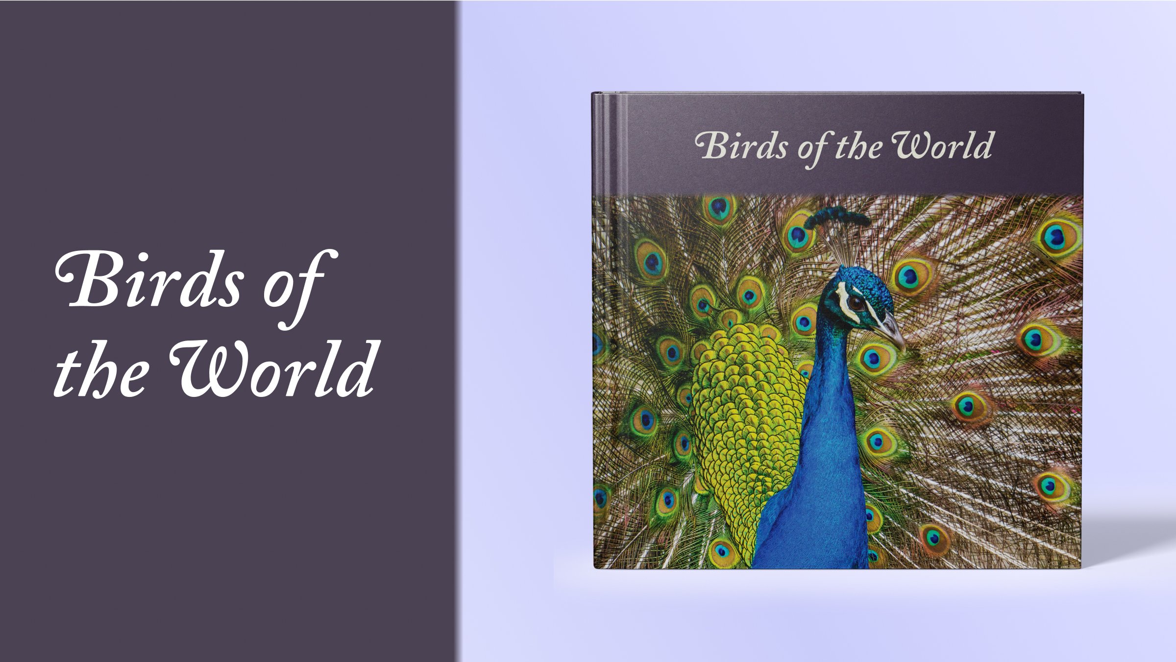birds-of-the-world-coverpage.jpg