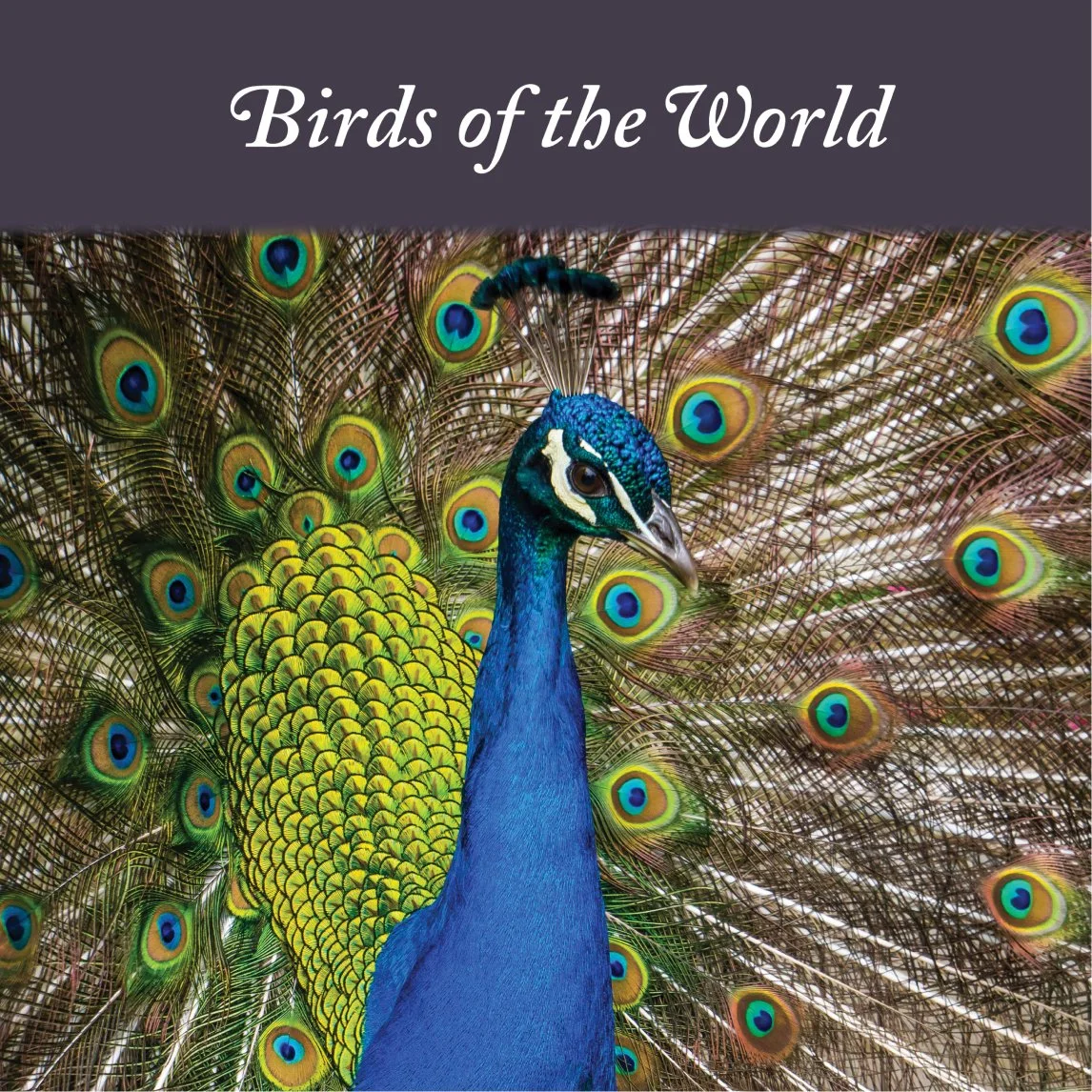 birds of the world book cover