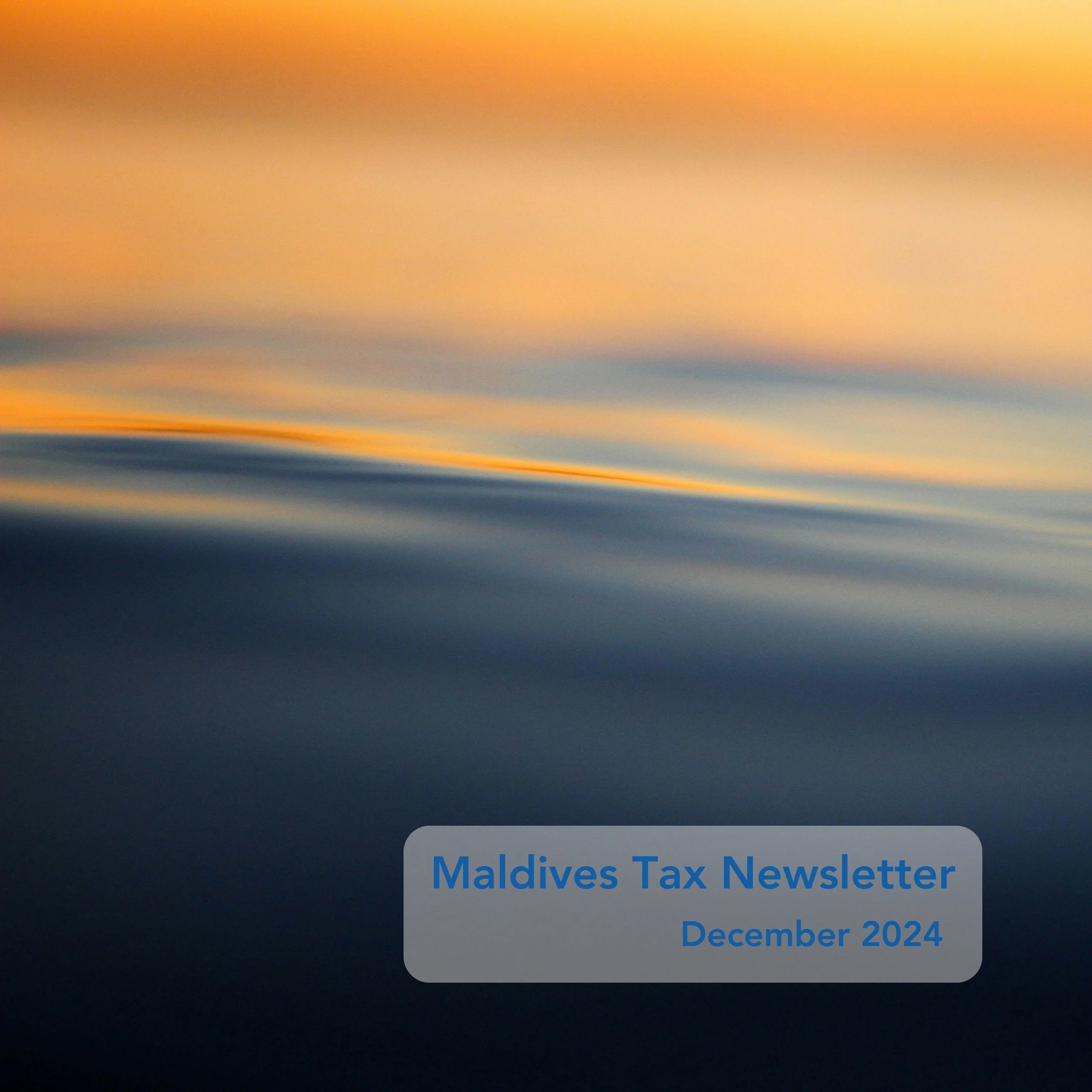 Maldives Tax Newsletter – December 2024