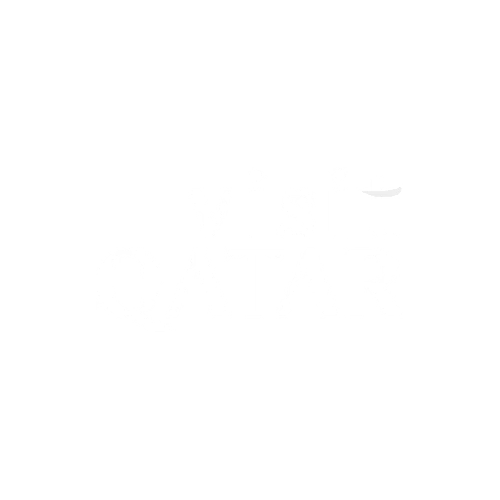 VQ