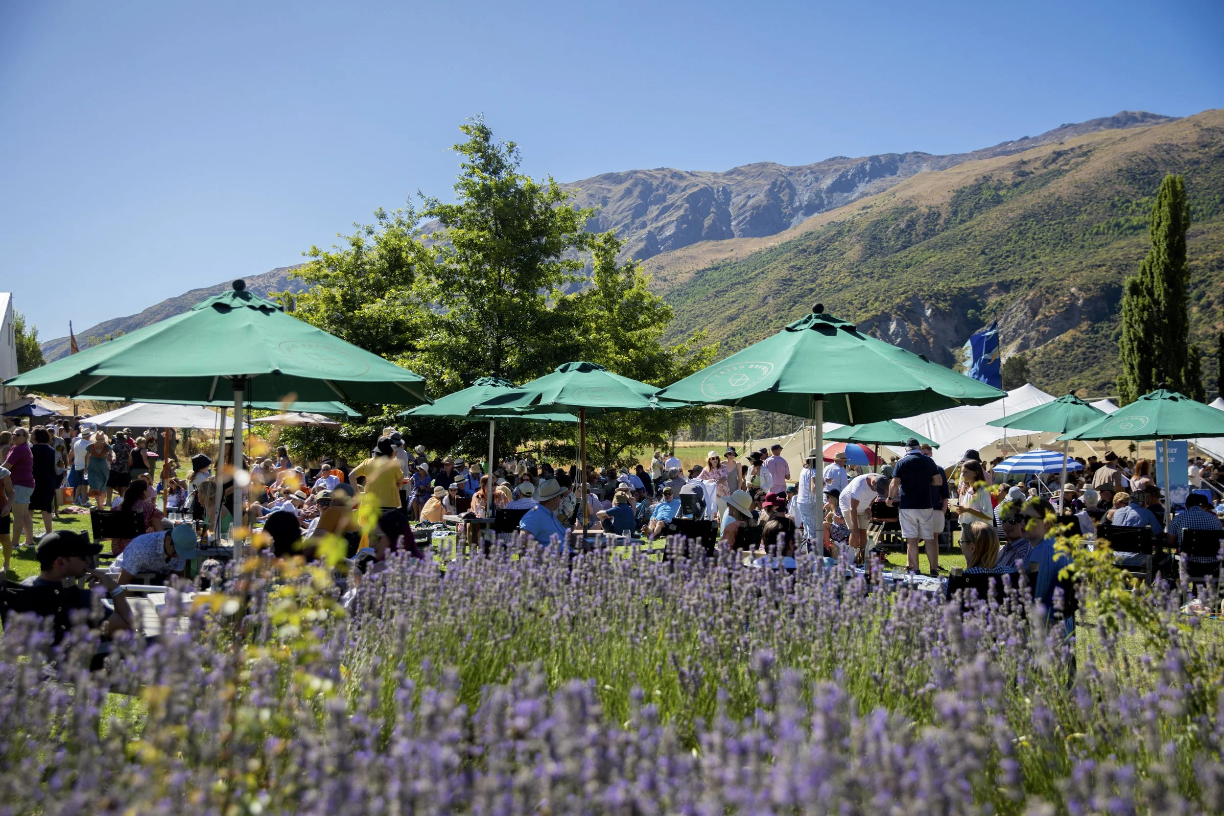 Outdoor event with people, green umbrellas, and mountains in the background