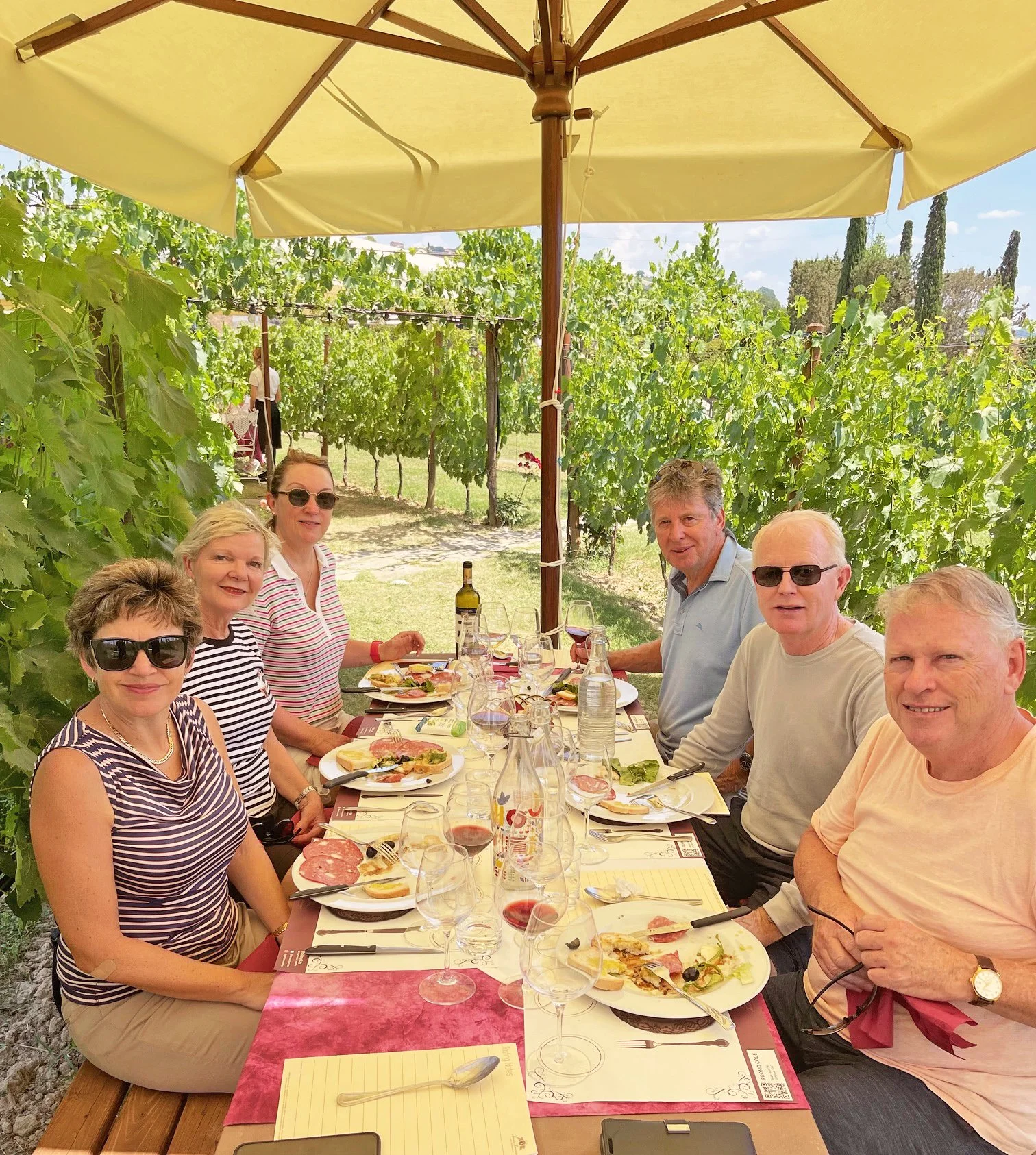 Group of six people dining al fresco under umbrella, surrounded by vineyard