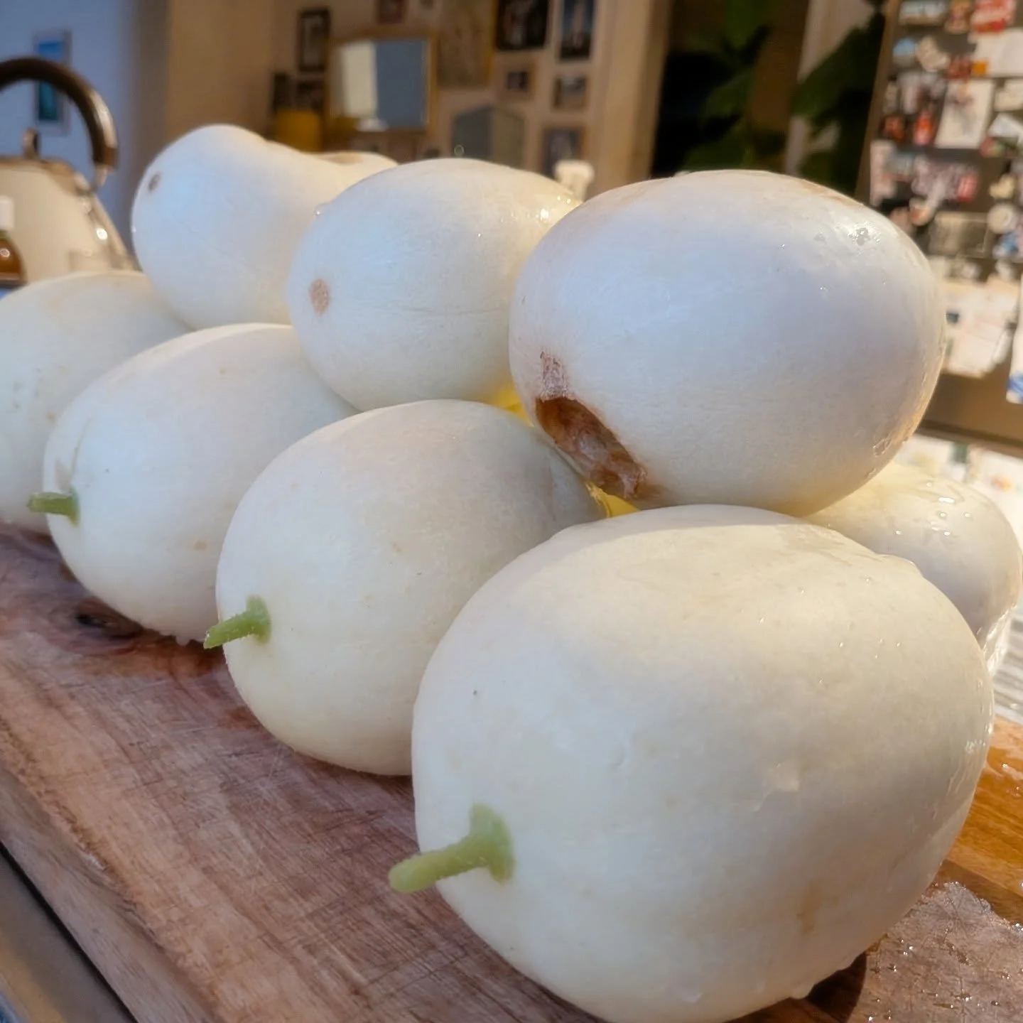 Really hoping my family and friends like apple cucumbers 🤞🏼🤞🏼

There's nothing better than sharing bulk produce 😍😁

#applecucumber #abundantharvest