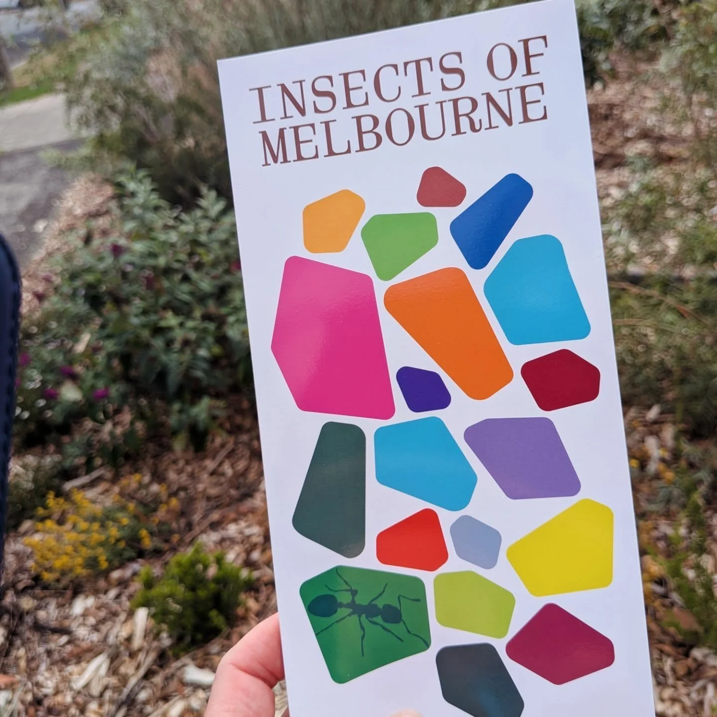 300 people gathered at Fed Square today to celebrate Melbourne's insects!!!!!

You read that right.... ~300 people cheering for the little fellas of Melbourne. It was amazing! Dr Kylie Soanes, Kate Pierce and Emma Cutting took us through the conserva