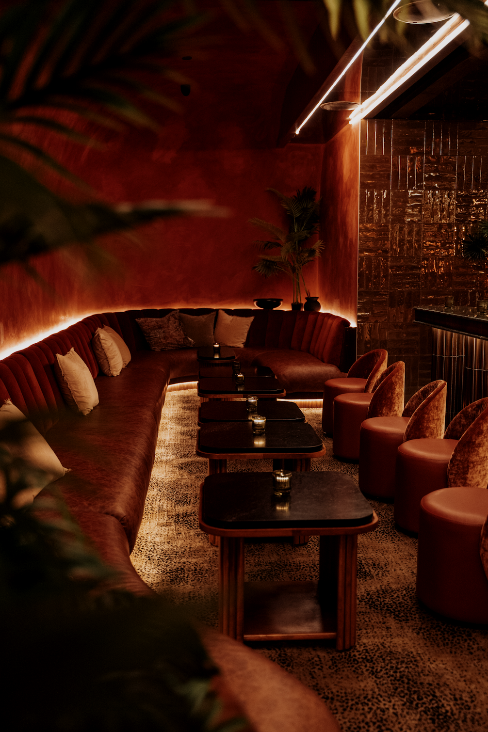 Bar photo 1