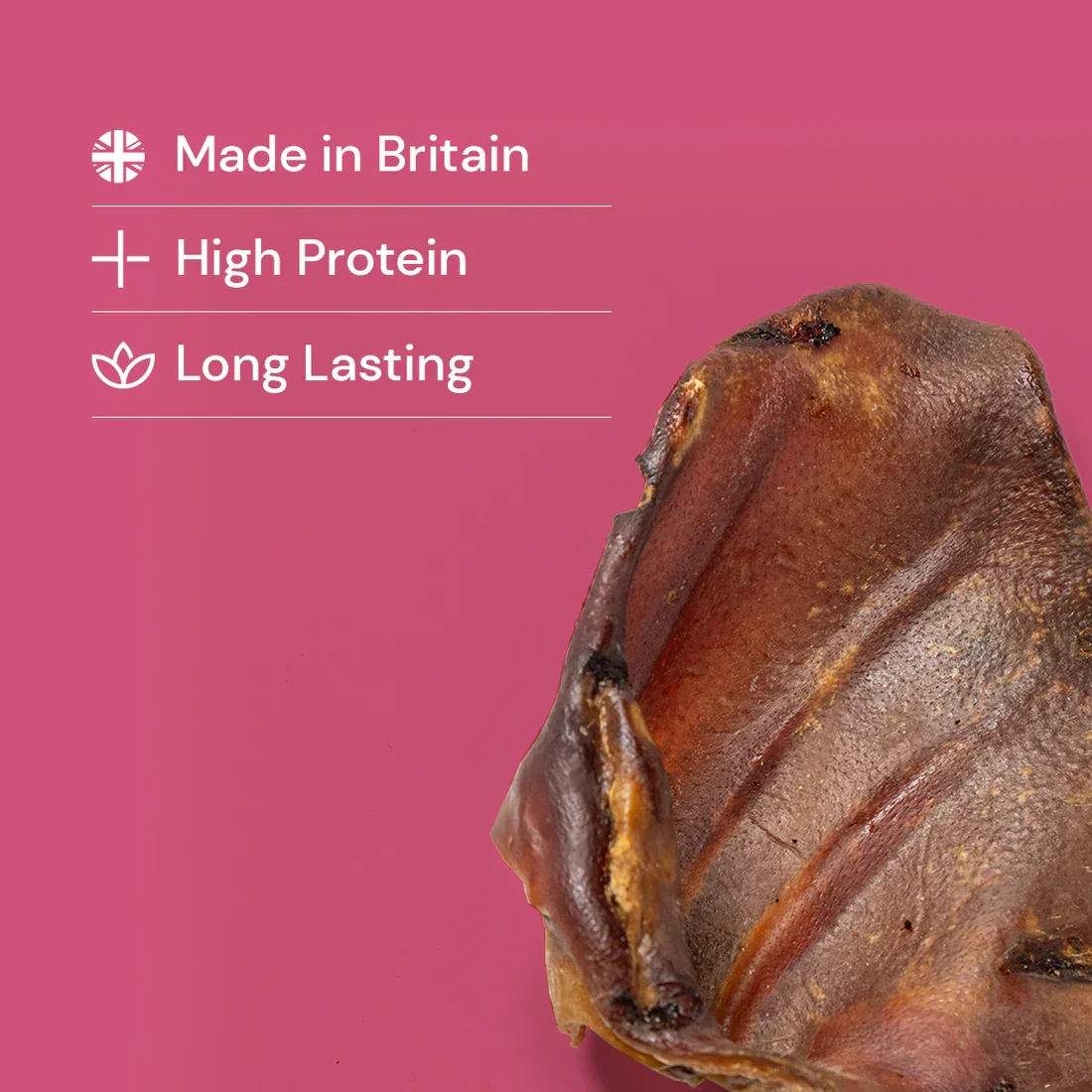 pigears5pcs2_2 high protein.webp