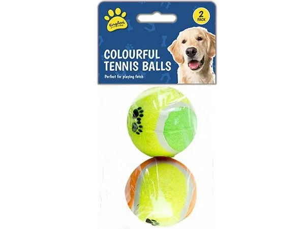 Colourful Tennis Balls (2pk)