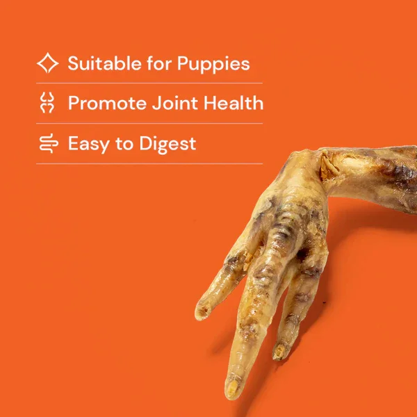 Chicken_Feet_-_Natural suitable for puppies.webp