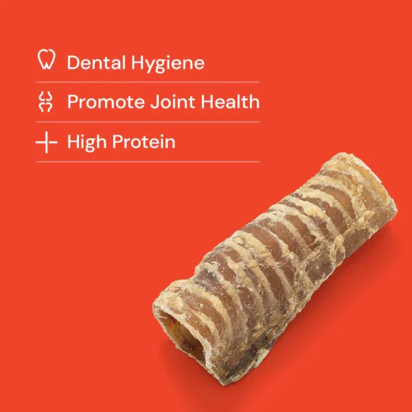 Cut_Trachea__Cut_Gullet dentak hygiene.webp