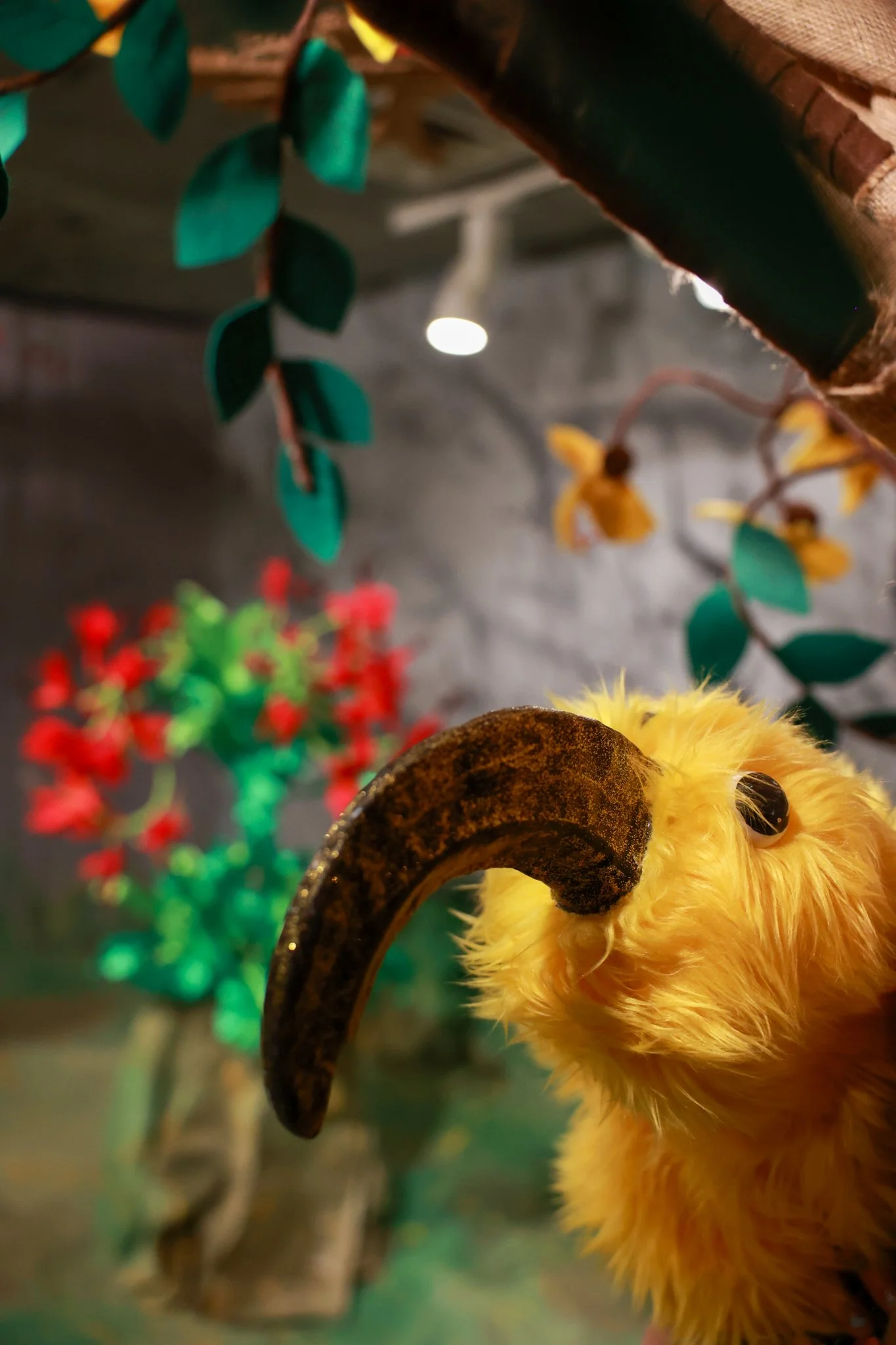 2.16.24 Friday Night Fusion Optimized-058.jpg