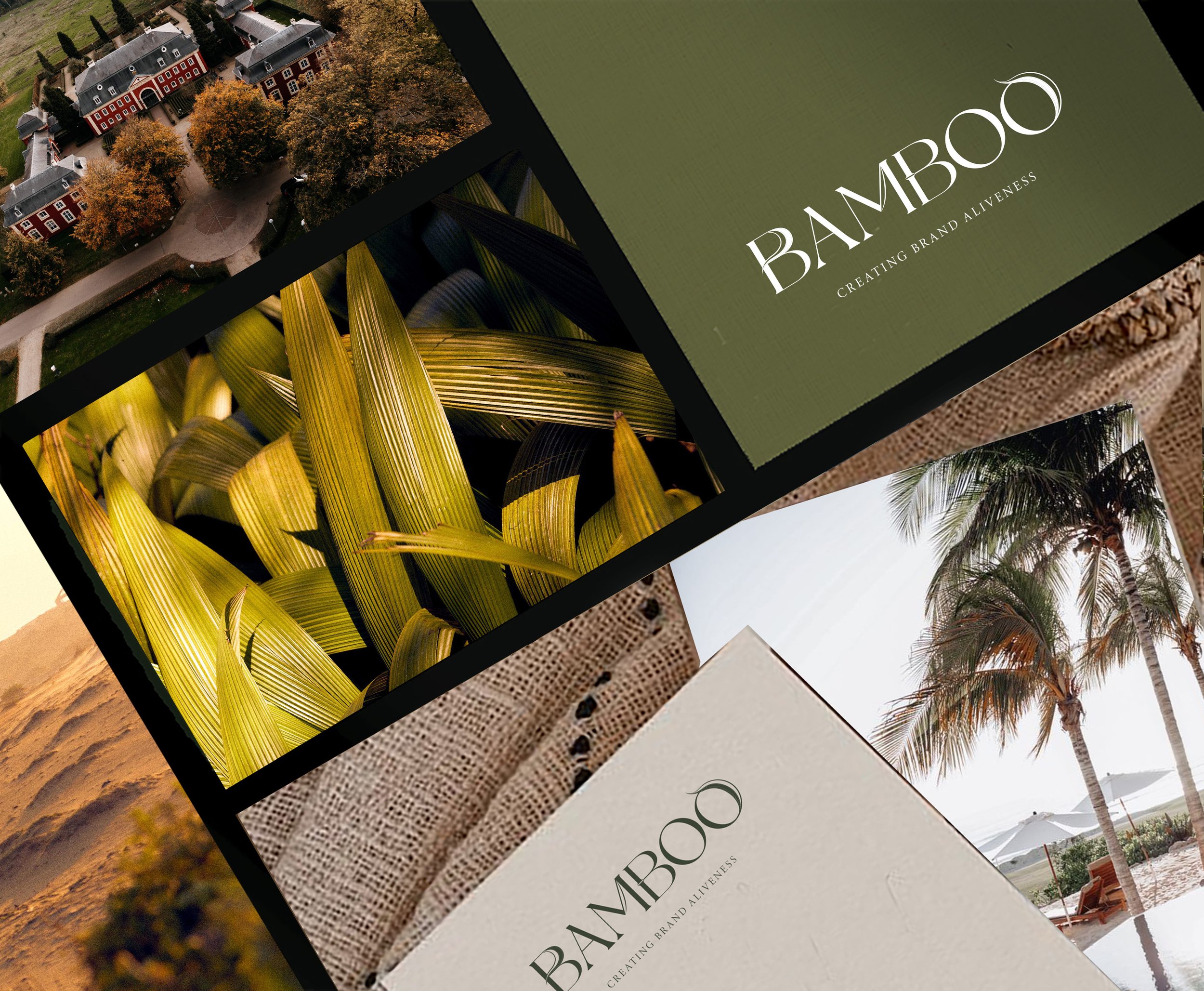 Bamboo mock up website.jpg