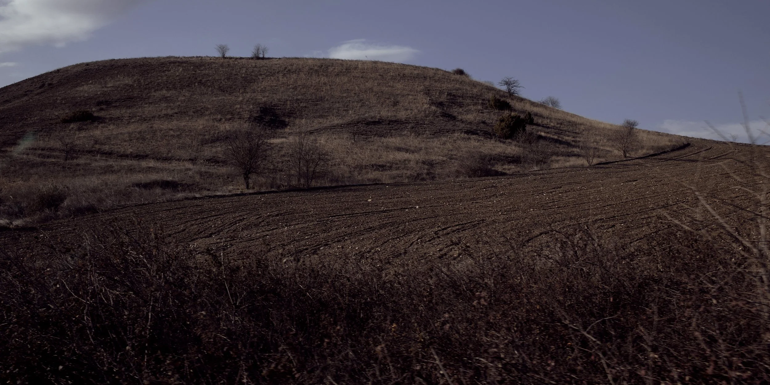 Muted photograph of a barren hillside under soft daylight, showing dry grass and sparse trees across rolling terrain. The earthy tones and minimalist composition evoke a cinematic, desolate beauty of rural Greece.
Keywords: Greek landscape, dry hill,