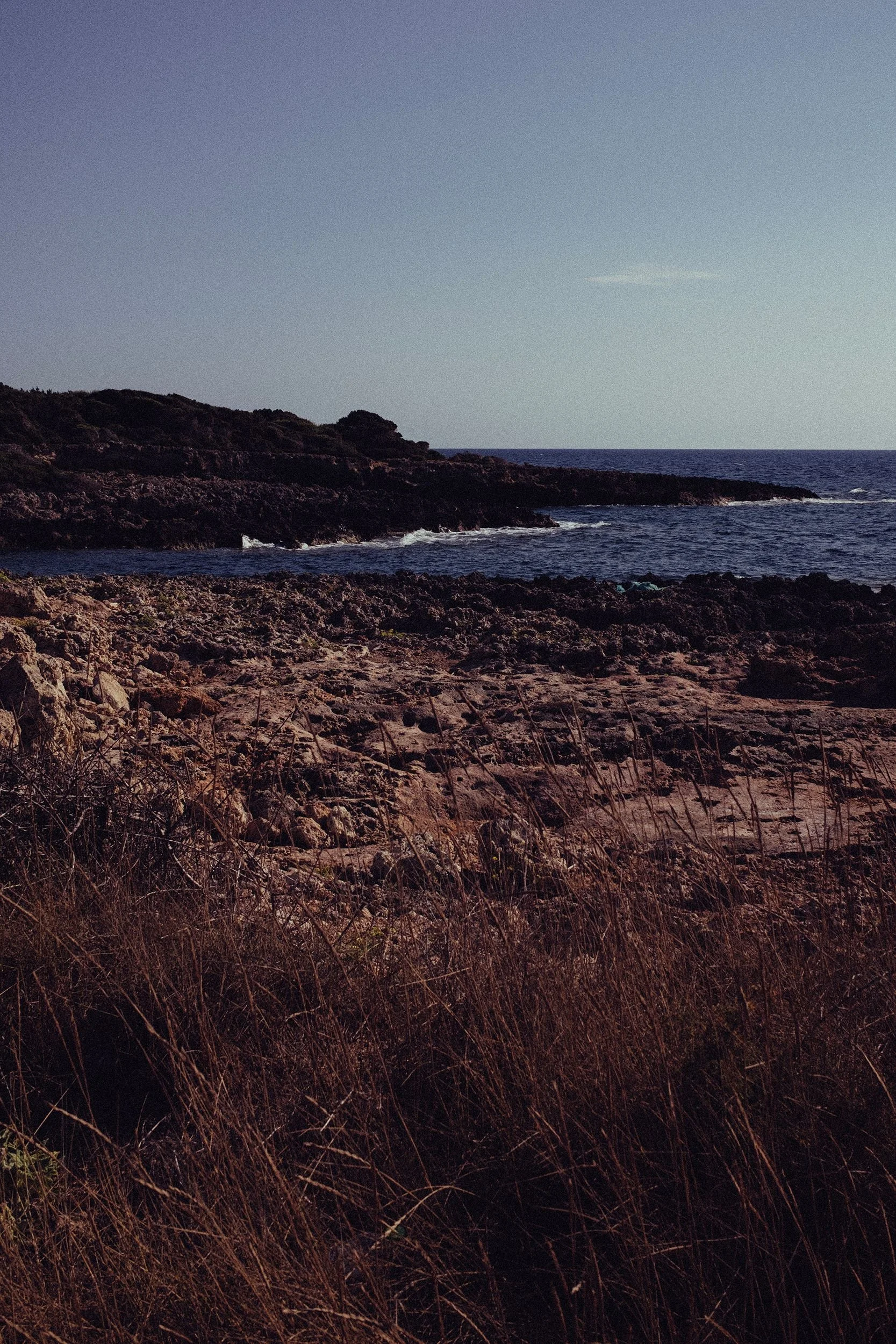 A rocky coastline with dry grass in the foreground, dark rocks and ocean waves in the middle, and a clear sky in the background.