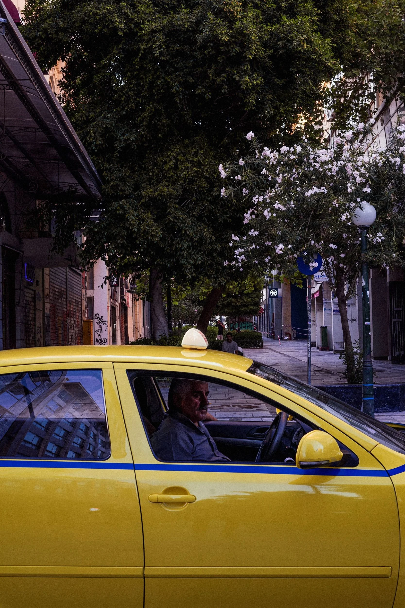 A yellow taxi cab parked on a city street with a man sitting inside and trees with white flowers in the background.
