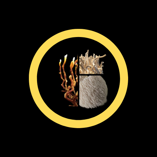 ffwng's spagyric triple blend 50ml