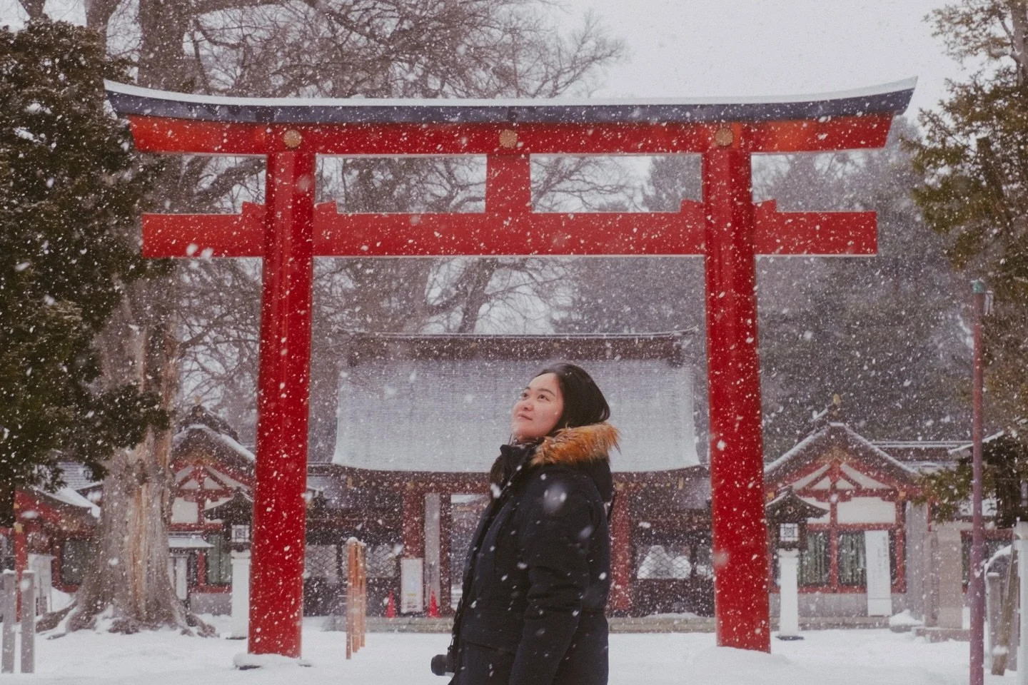 That time we went to a temple in Asahikawa and got lucky with the weather ❄️

📍 Asahikawa, Hokkaido, Japan, December 2025
📸 Fujifilm X-T5