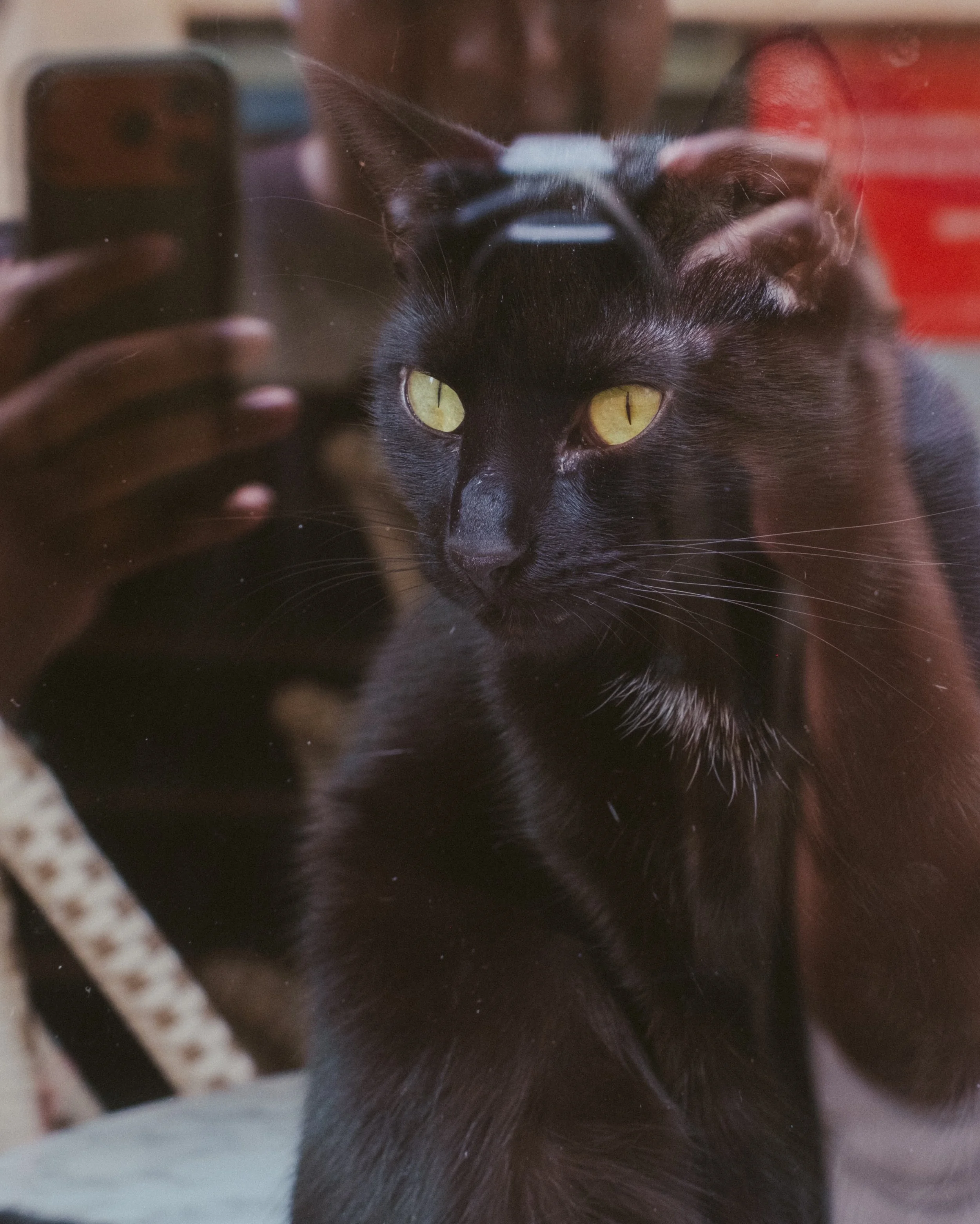 September was a month of trying to be a person and a photographer at the same time. Work didn&rsquo;t slow down, and I kept noticing the warm days running out while I sat indoors answering emails. Some weeks that was all there was. But on the good on