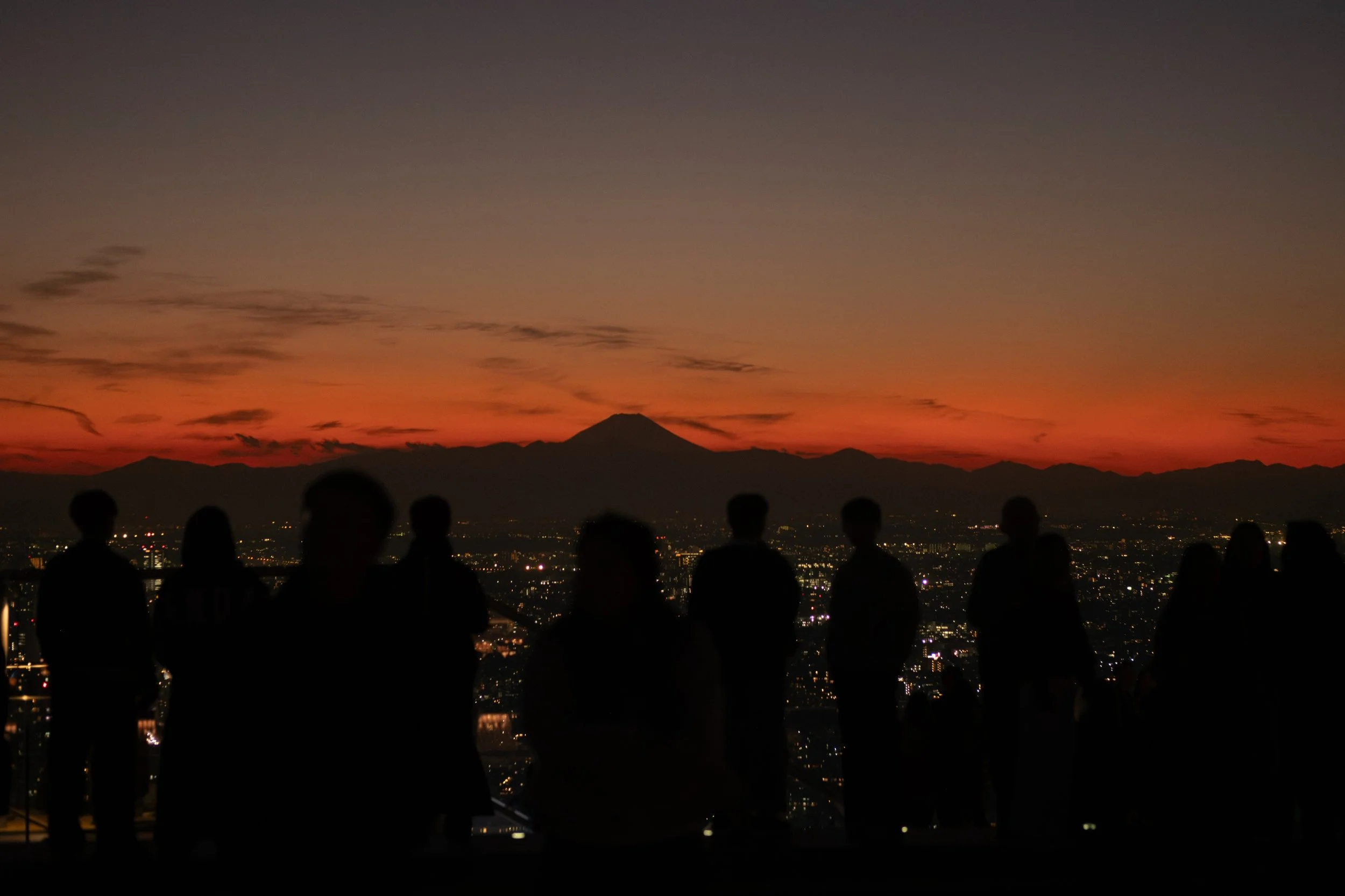 In every big city I look for a way to see it from above, and in Tokyo I keep going back to the observation decks. The view is part of it. The bigger part is standing in a crowd of people I don&rsquo;t know and seeing how small each of us is from up t