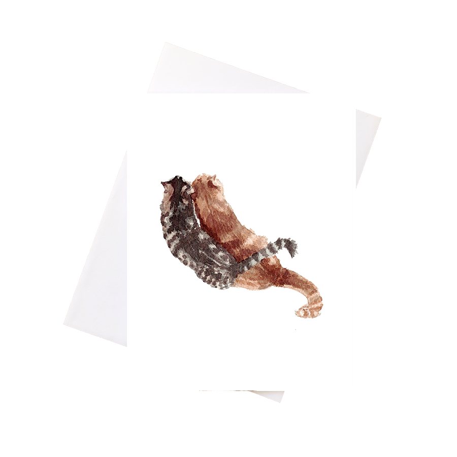 Two Cats Catalogue image copy.png