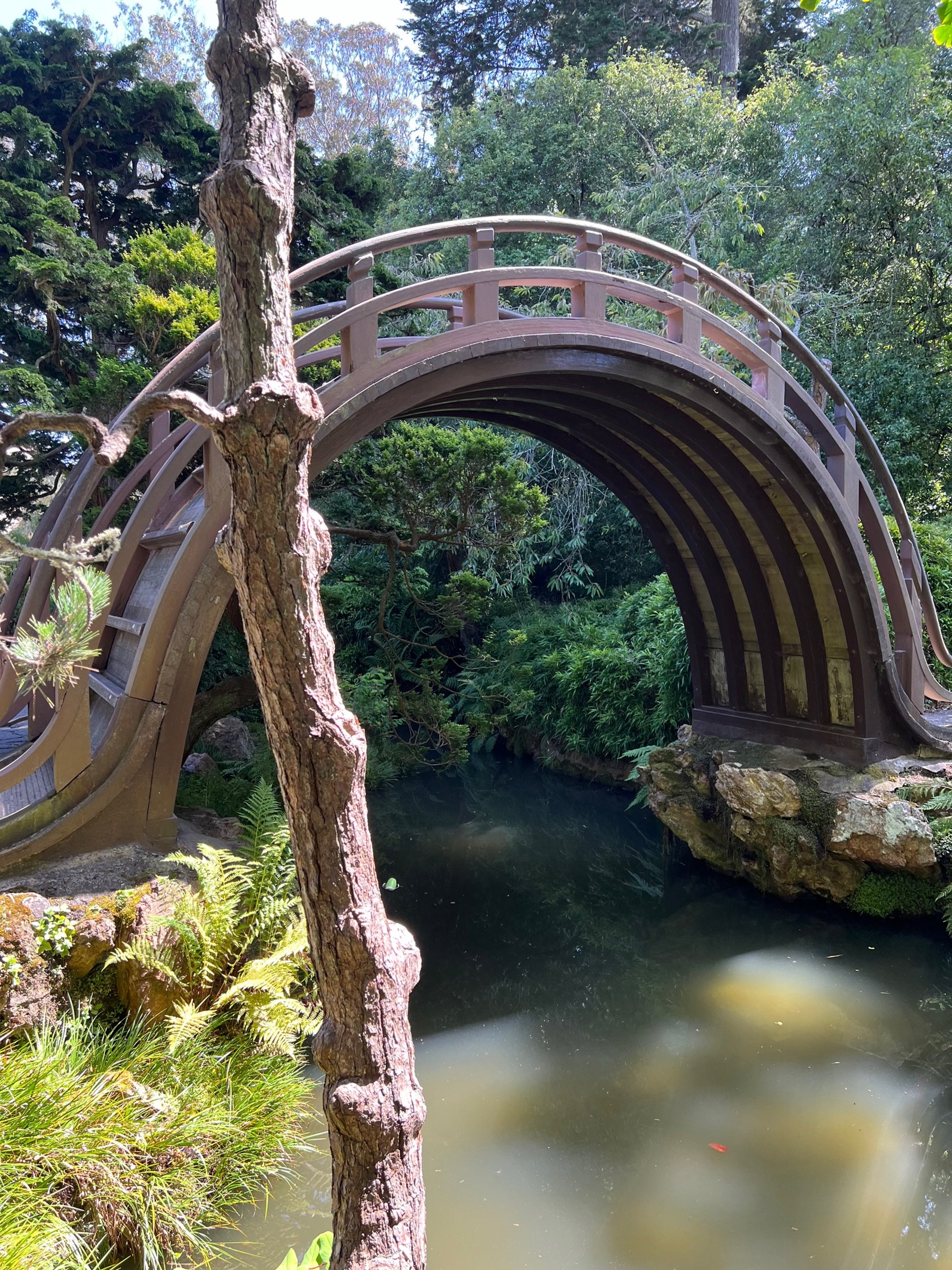 Japanese Garden bridge- SF.jpg