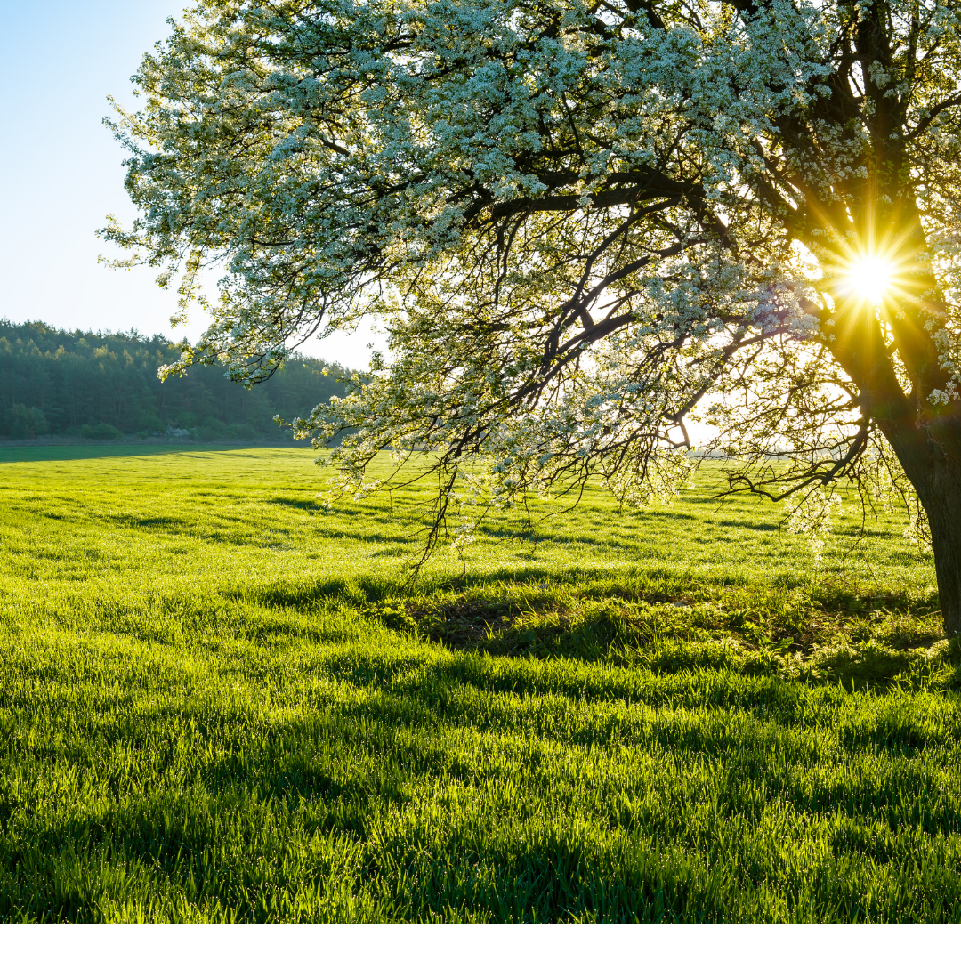 Good Friday Isn’t Really That Good